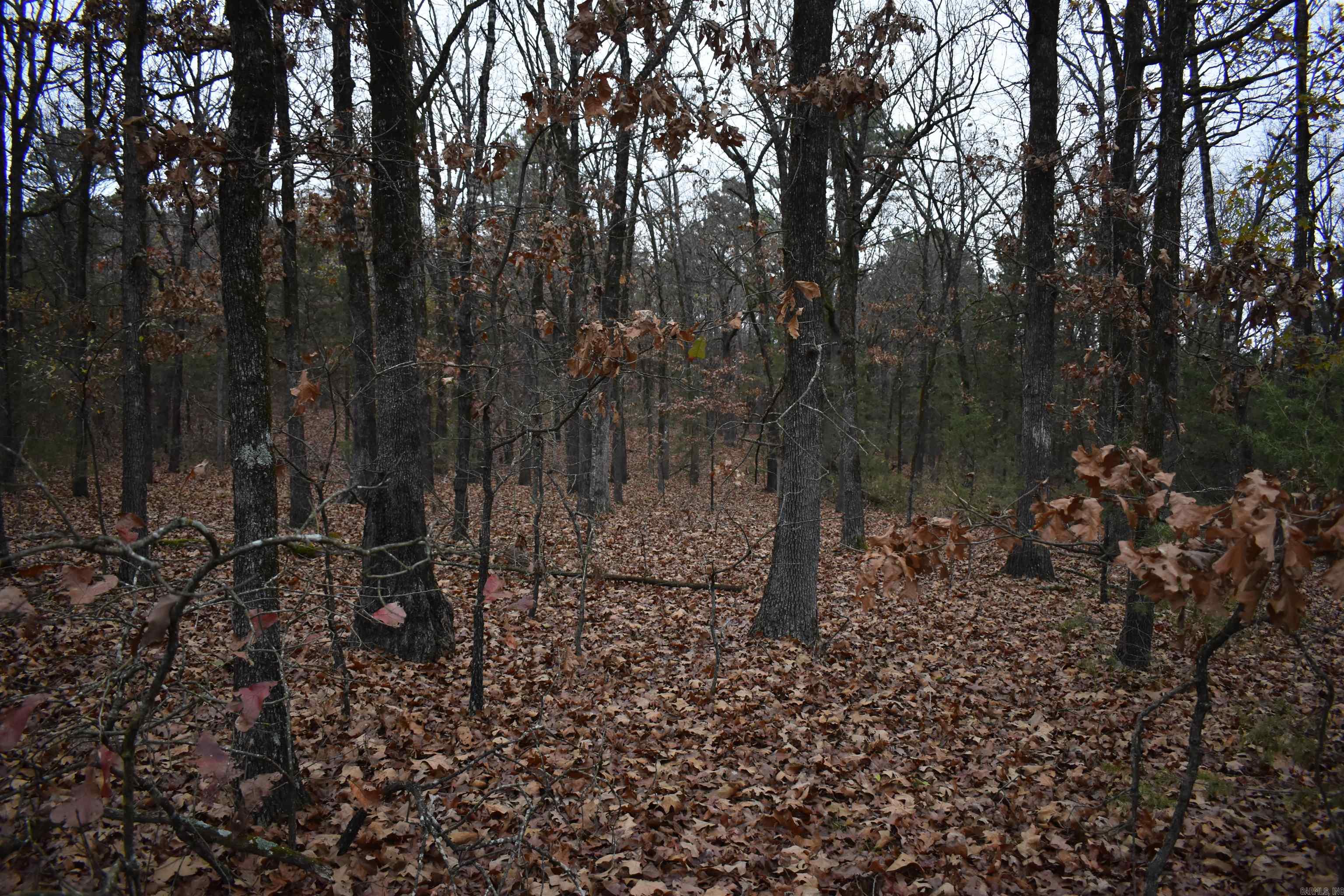 0000 Old Creek RD  Scranton, AR