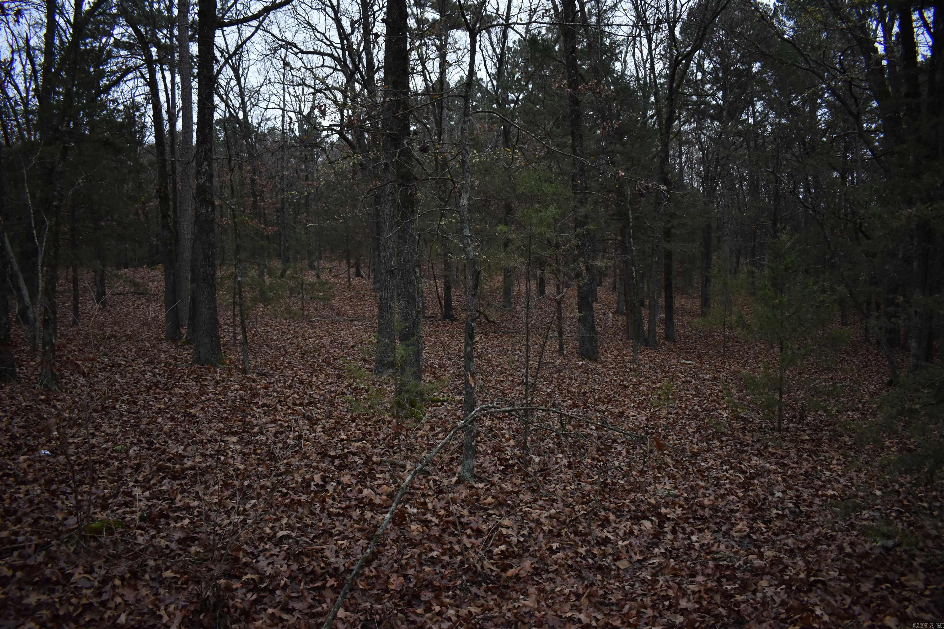 0000 Old Creek RD  Scranton, AR