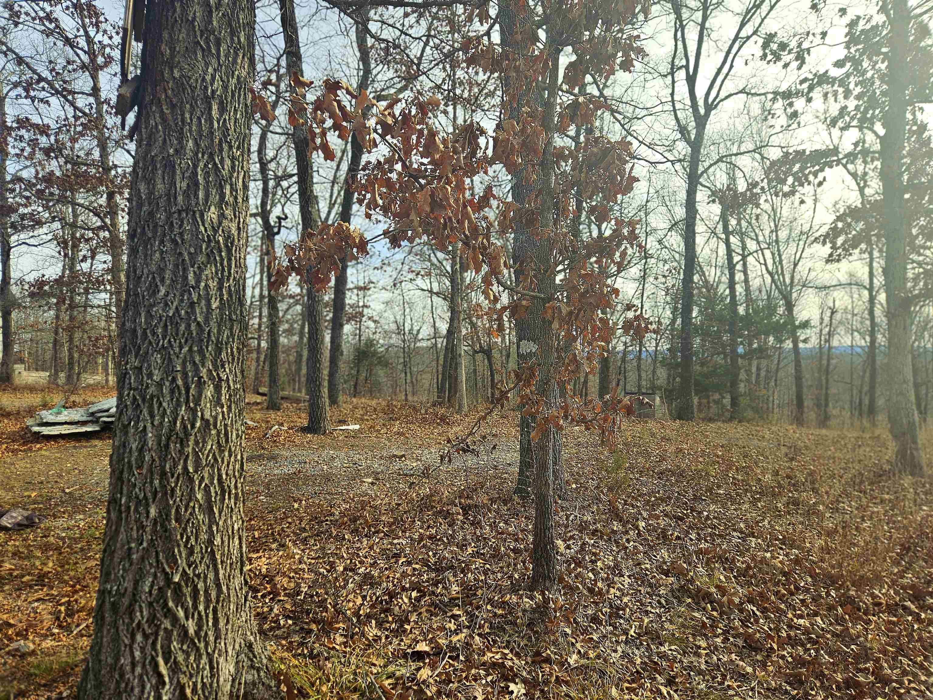 738 TOMAHAWK SLAB  Saint Joe, AR