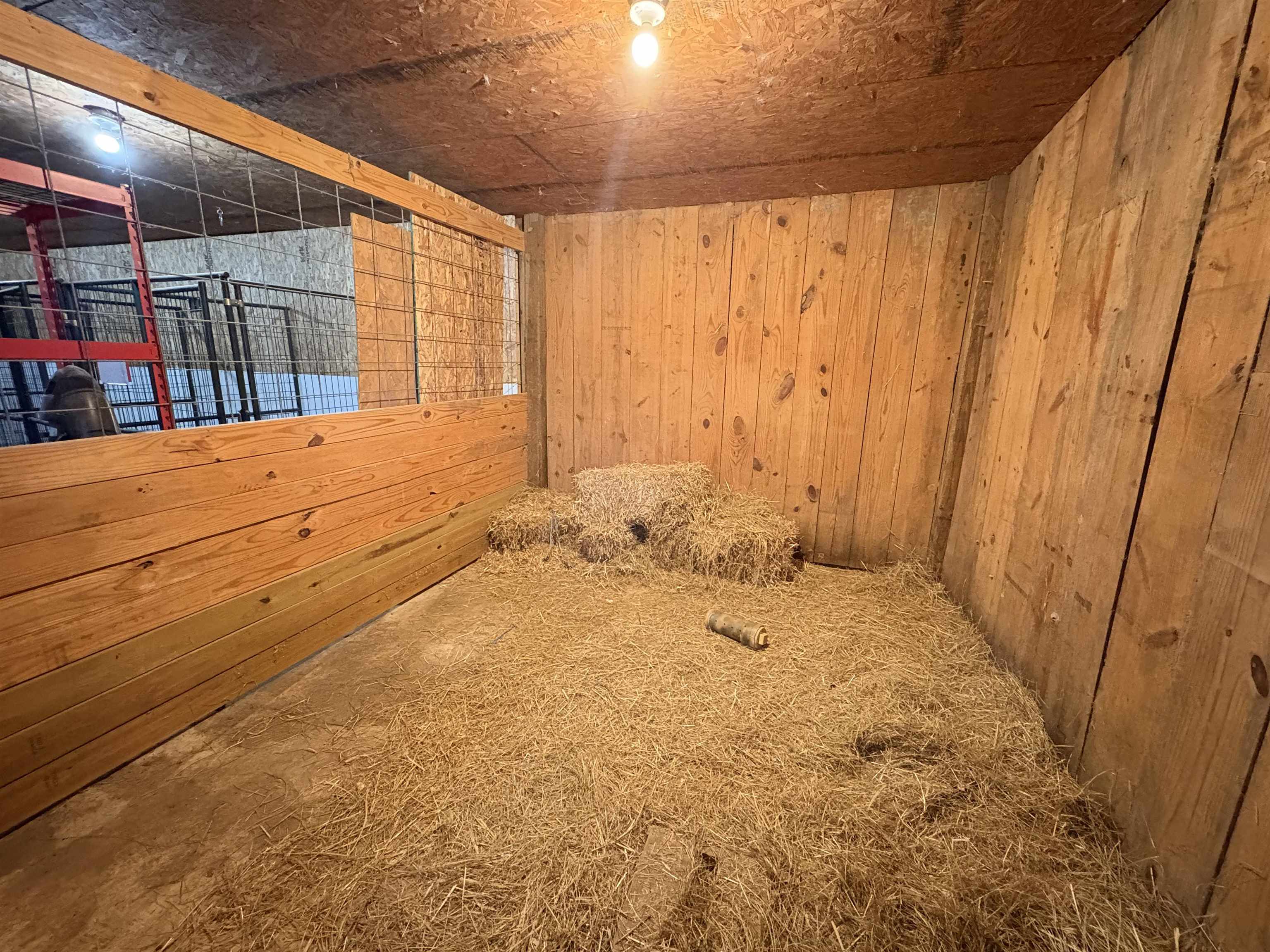 305 Norris  Batesville, AR