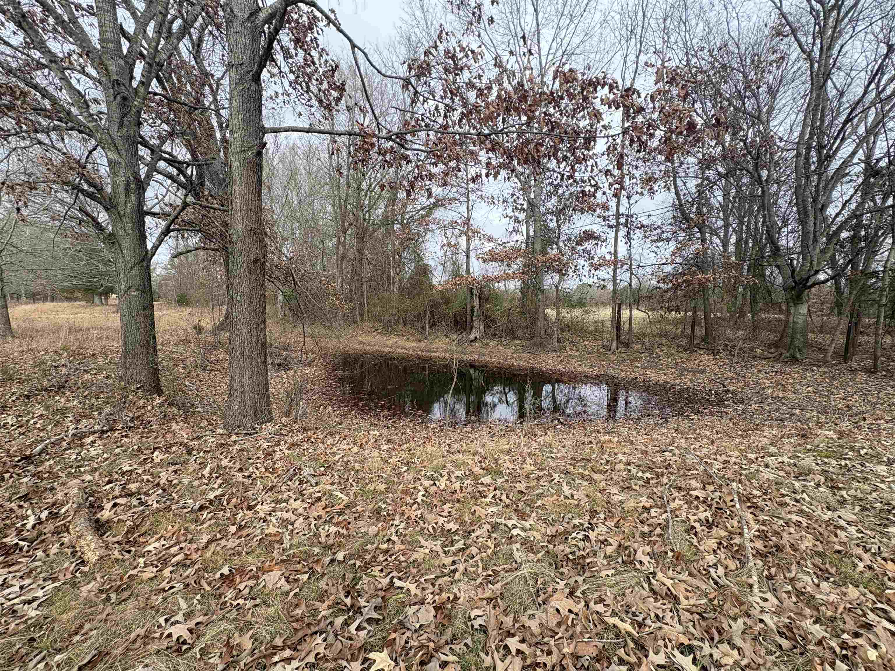 305 Norris  Batesville, AR