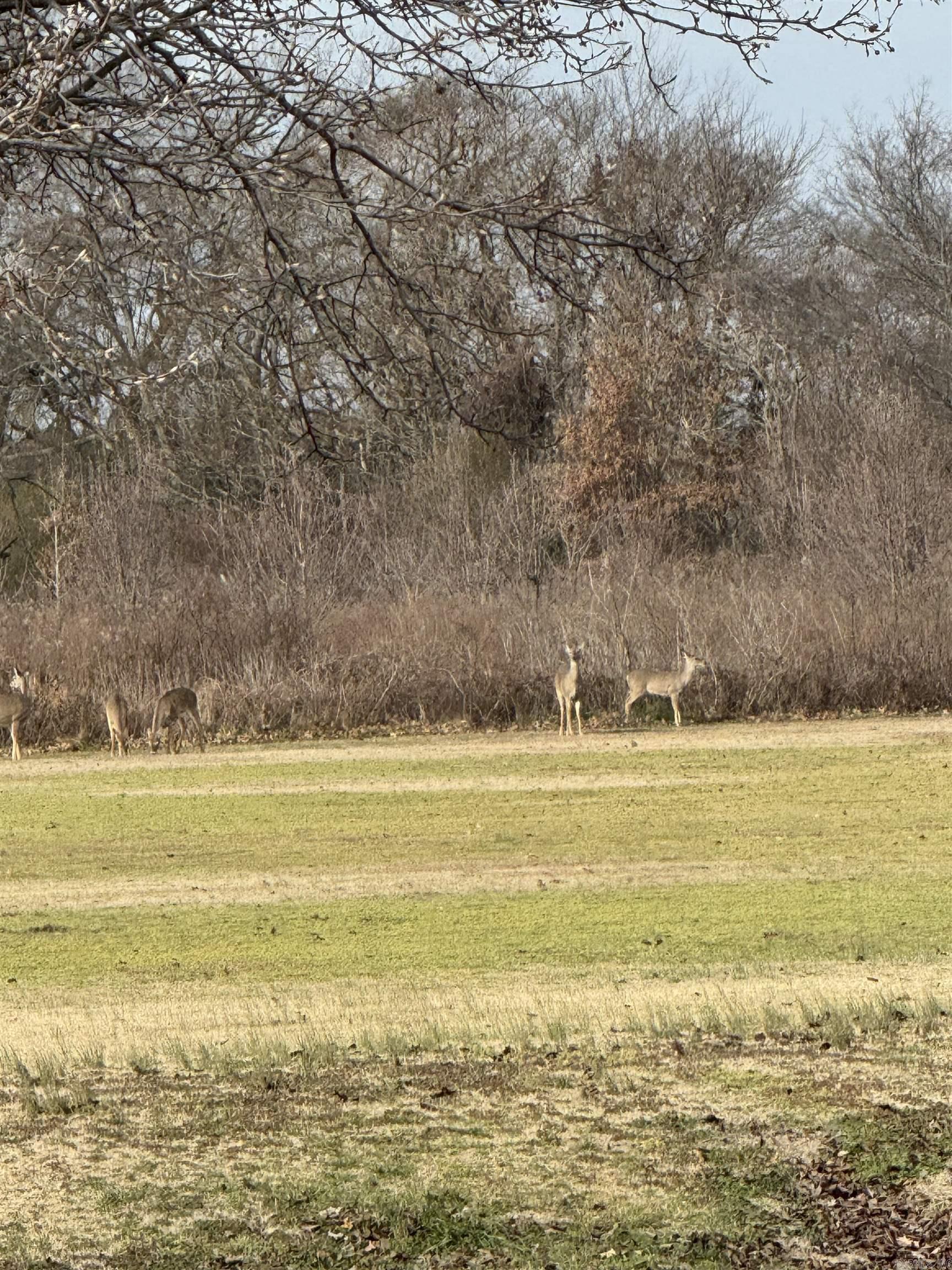 90 County Road 7415 Wynne, AR 72396