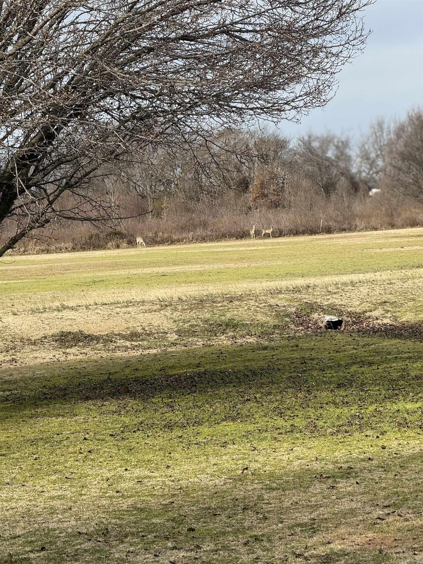 90 County Road 7415 Wynne, AR 72396