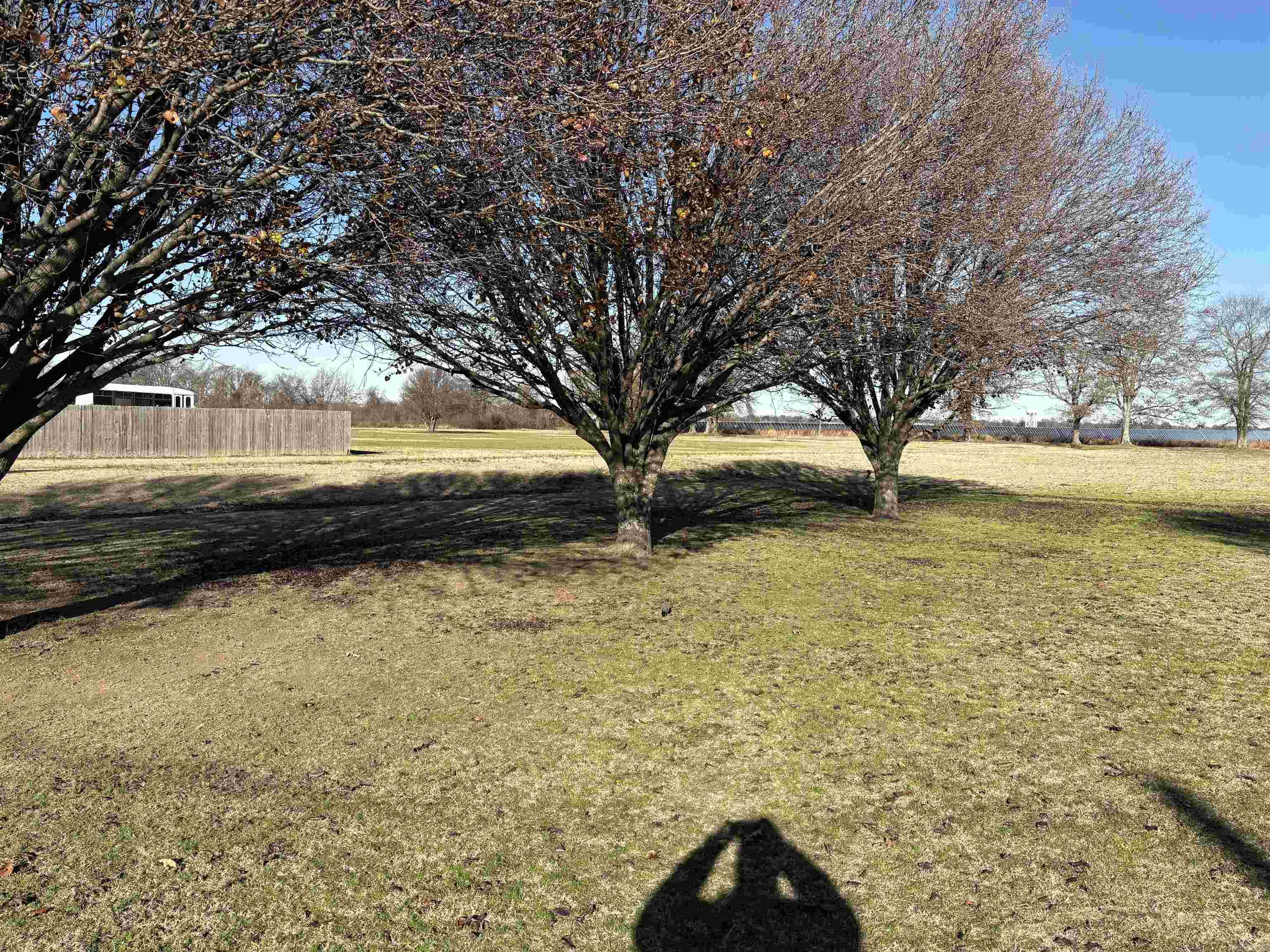 90 County Road 7415 Wynne, AR 72396