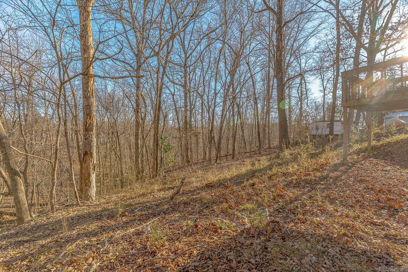 10 Dogwood Trail  Williford, AR