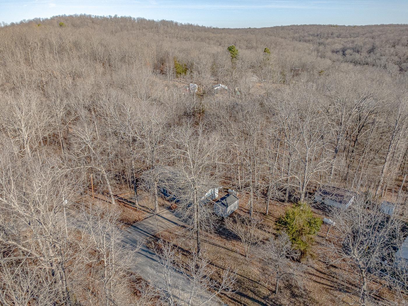 10 Dogwood Trail  Williford, AR