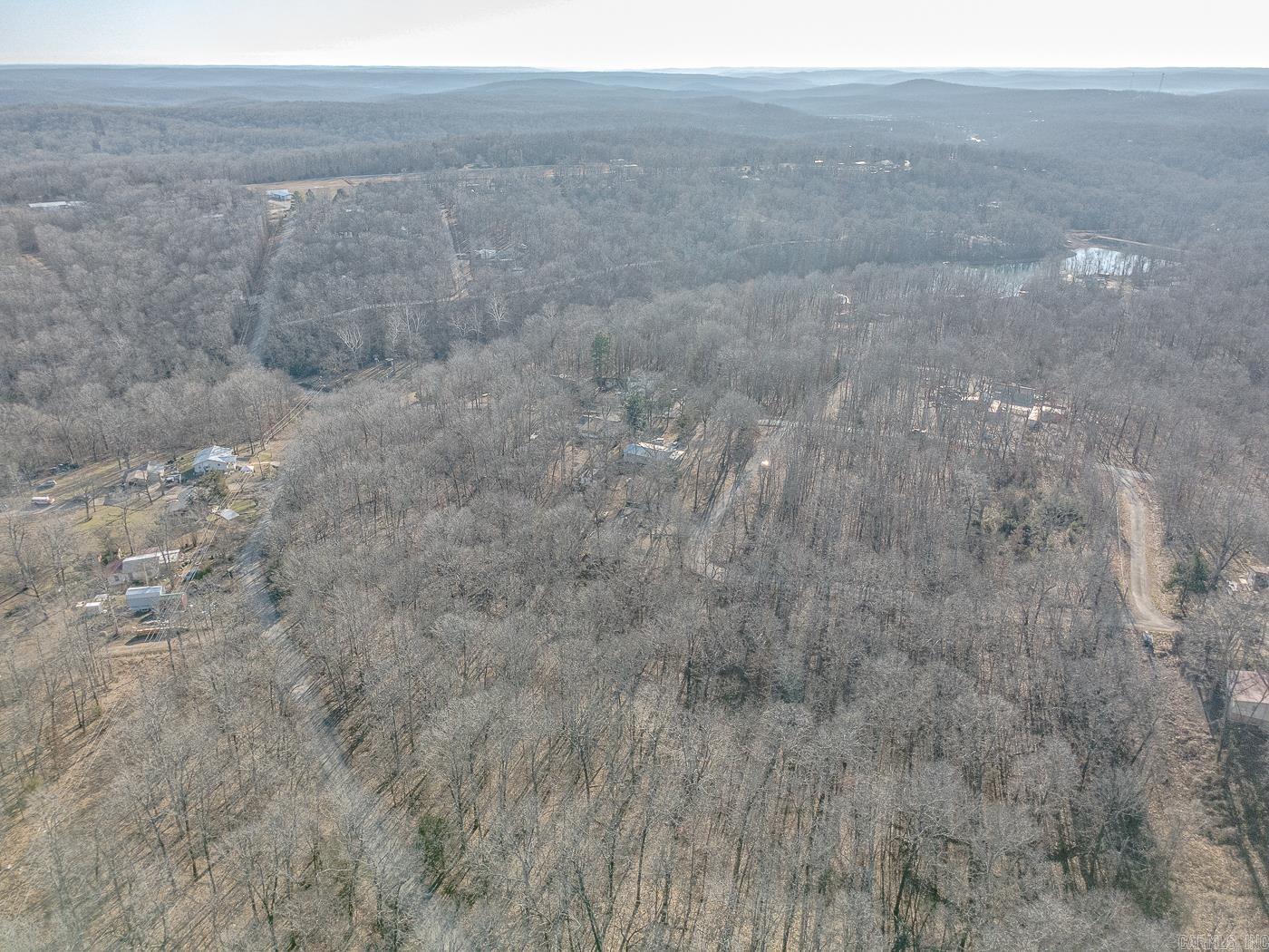 10 Dogwood Trail  Williford, AR