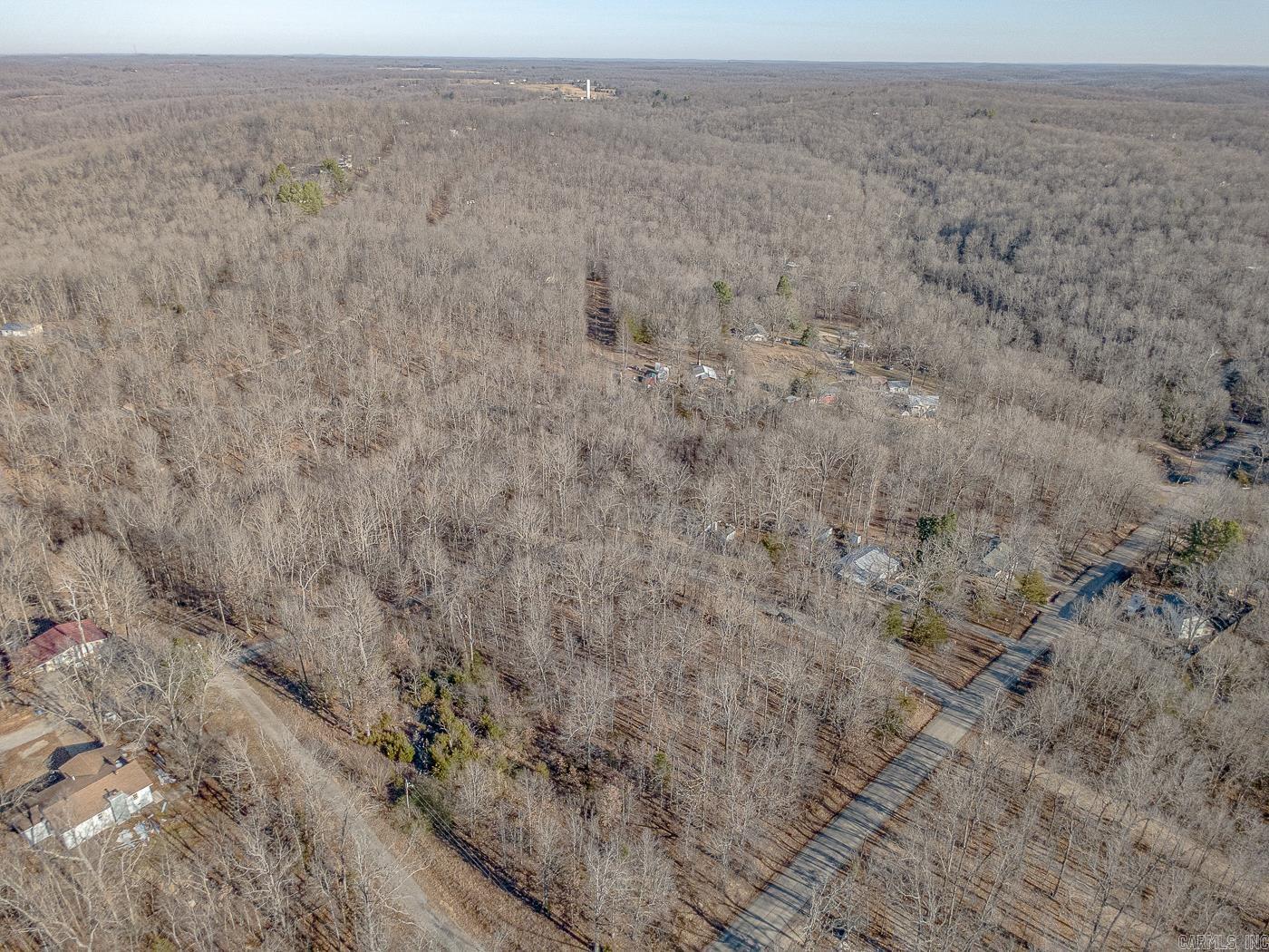 10 Dogwood Trail  Williford, AR