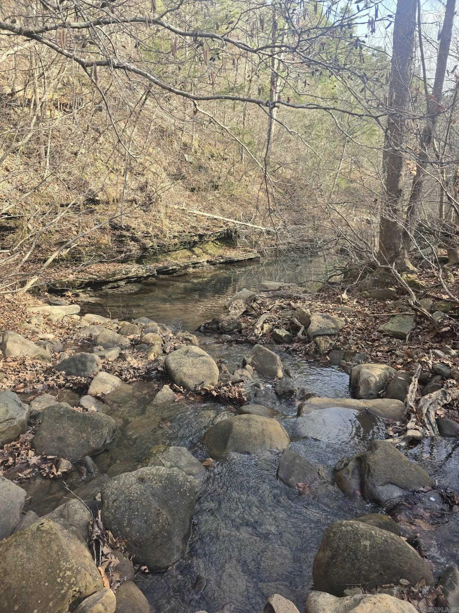 2433 Fayette Rd  Clinton, AR