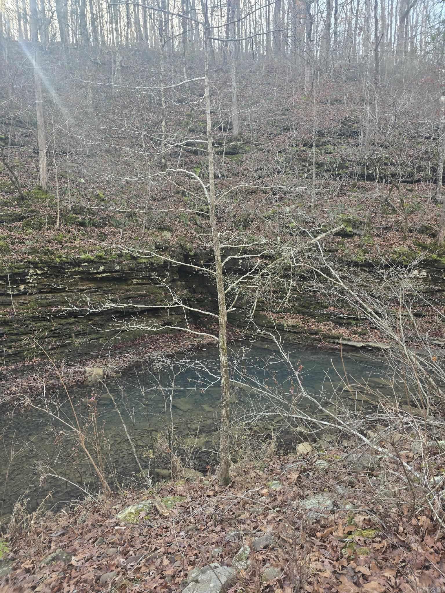 2433 Fayette Rd  Clinton, AR