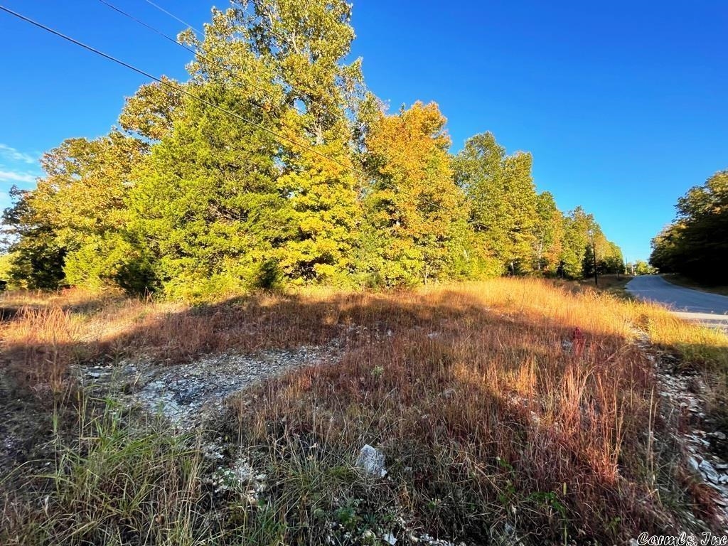 1350 Pioneer Lake Road  Horseshoe Bend, AR