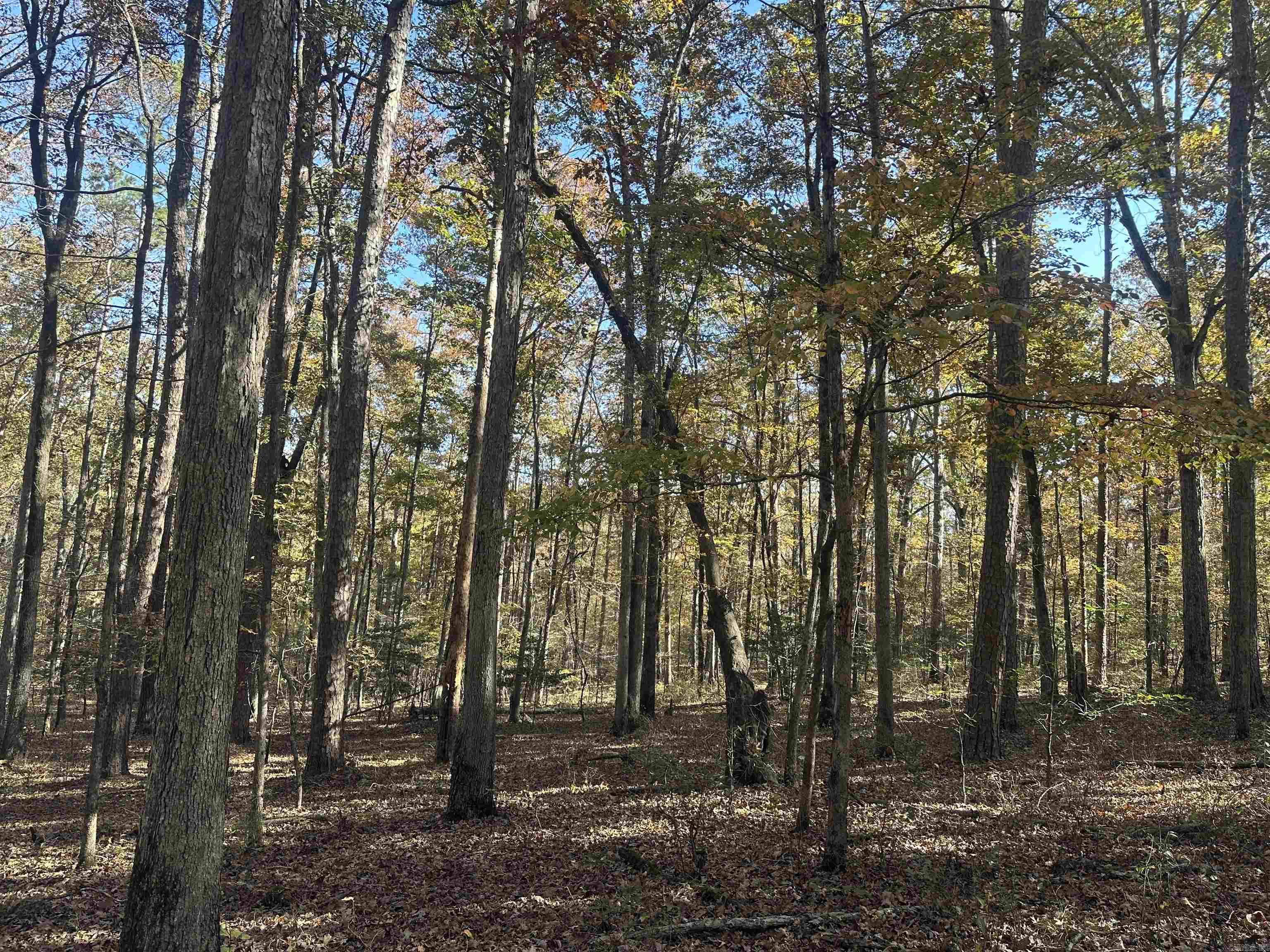 TBD Dirt Dobber Rd  Bauxite, AR