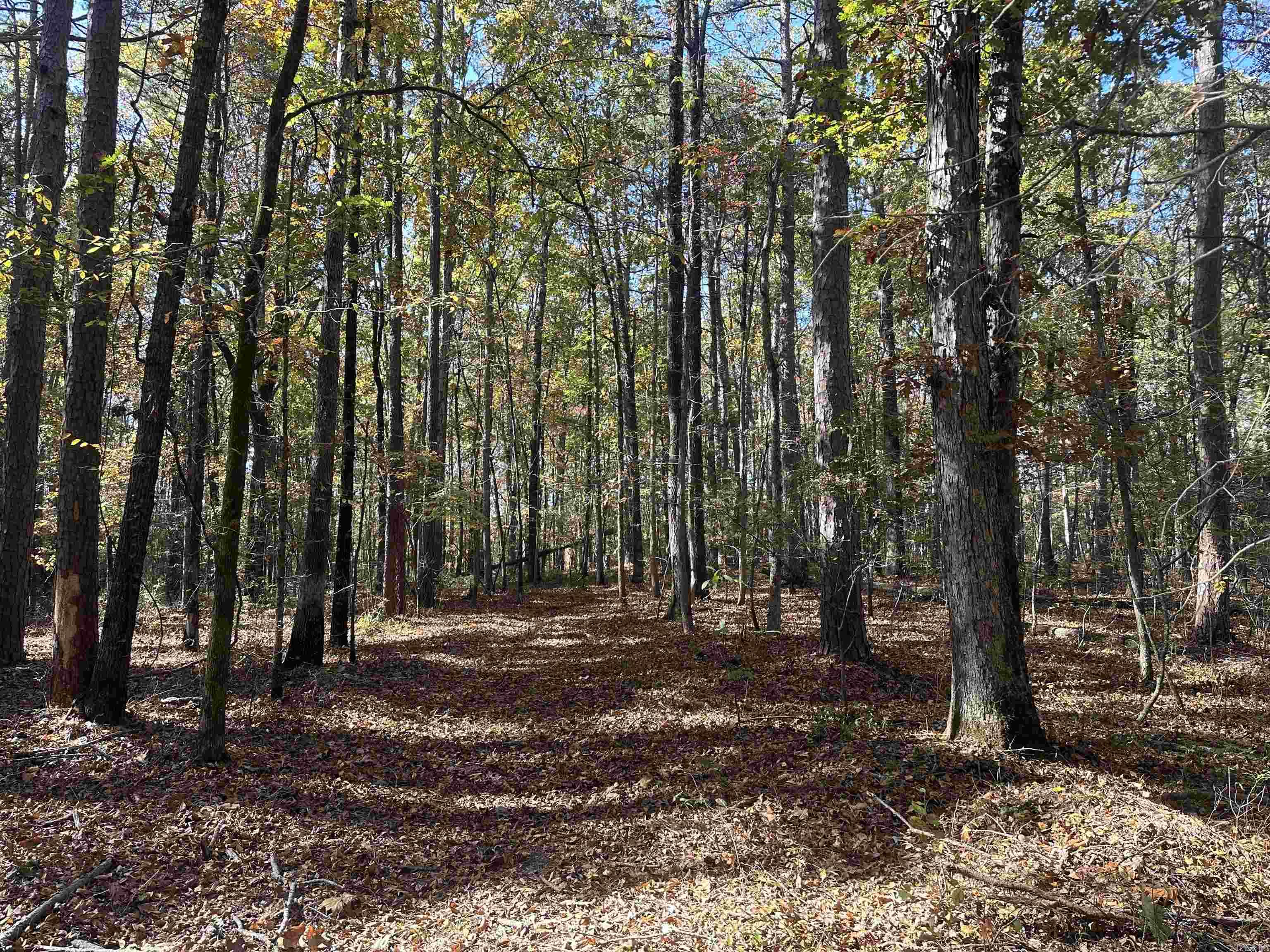 TBD Dirt Dobber Rd  Bauxite, AR