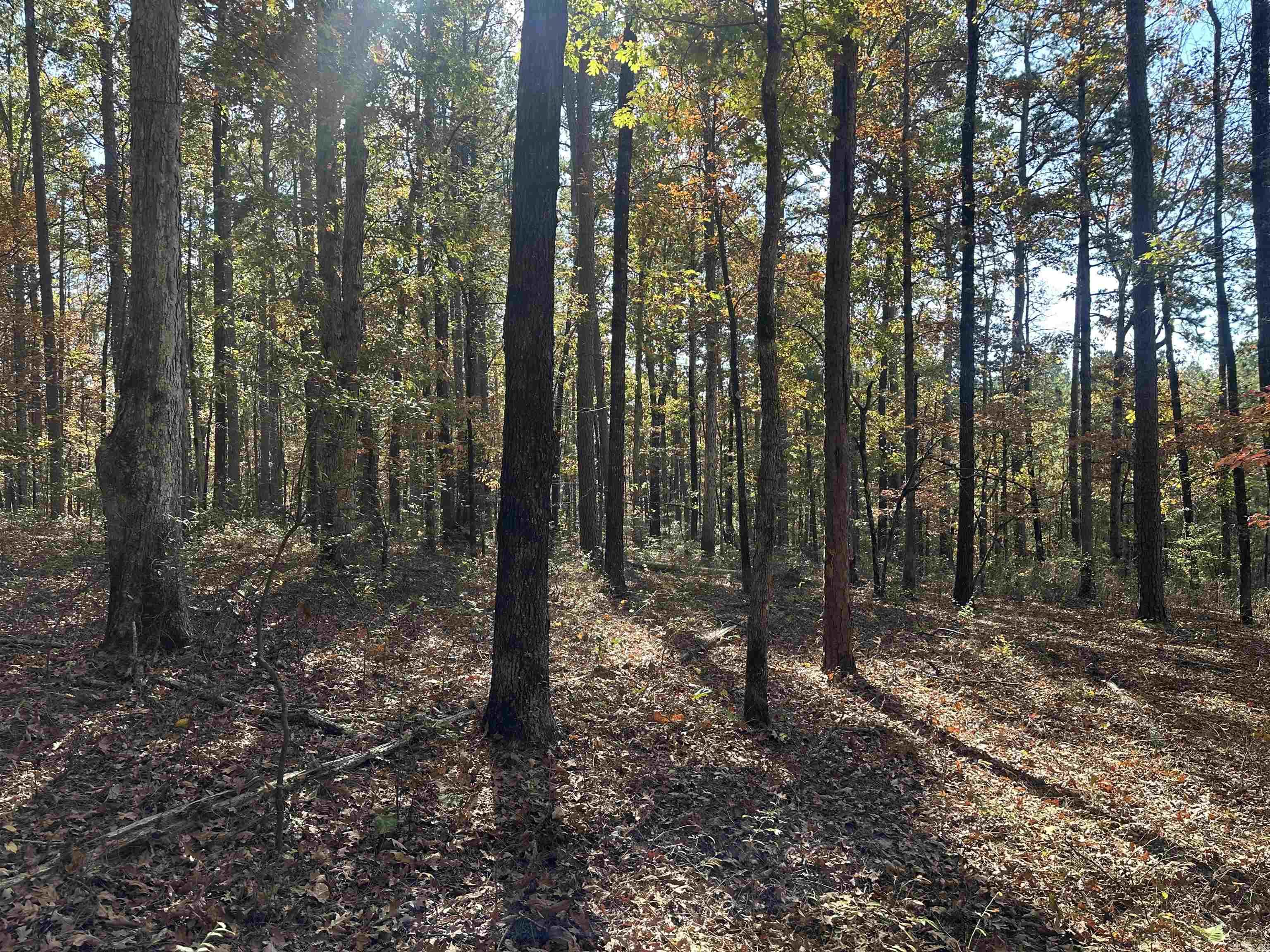 TBD Dirt Dobber Rd  Bauxite, AR