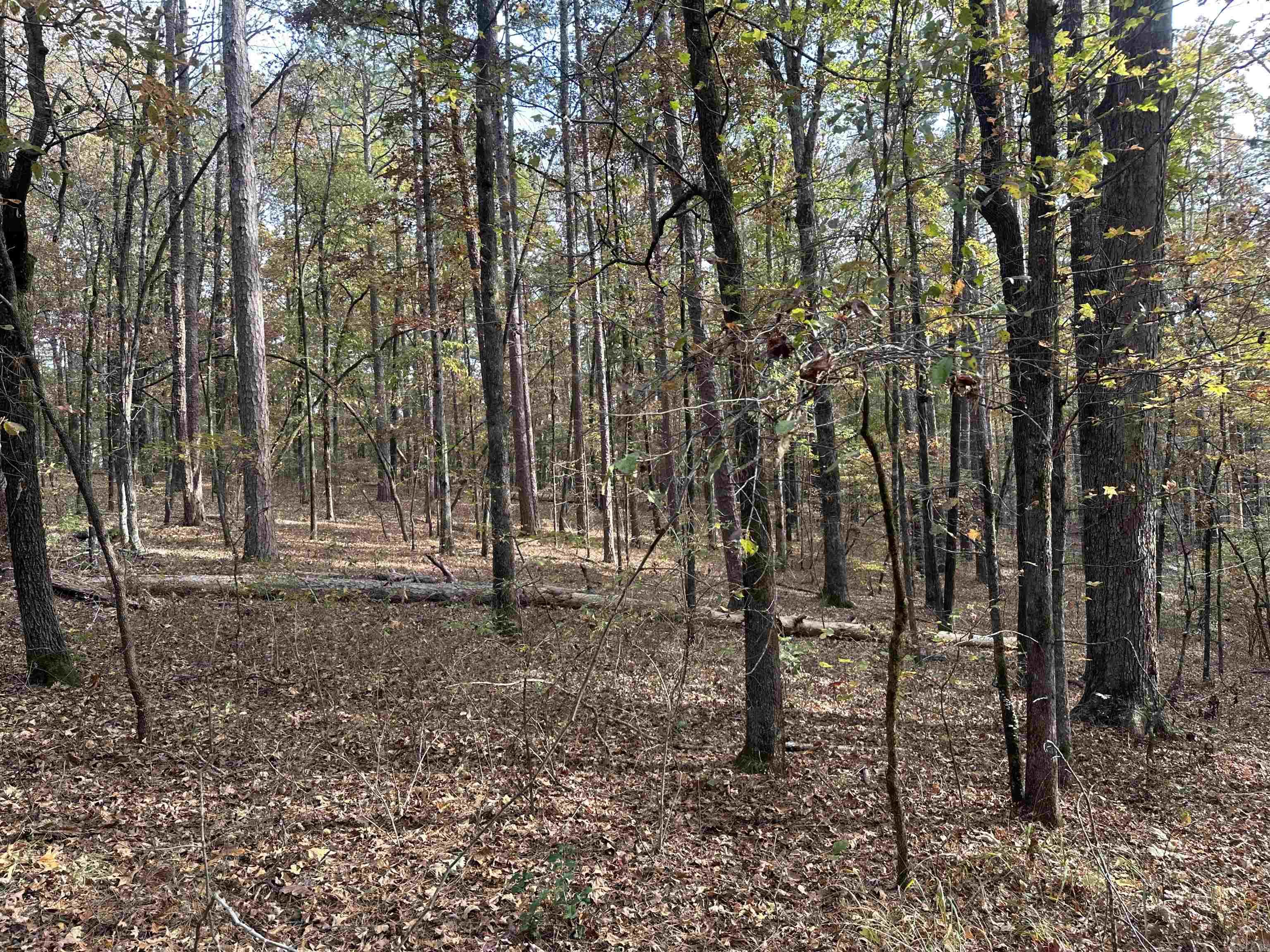 TBD Dirt Dobber Rd  Bauxite, AR