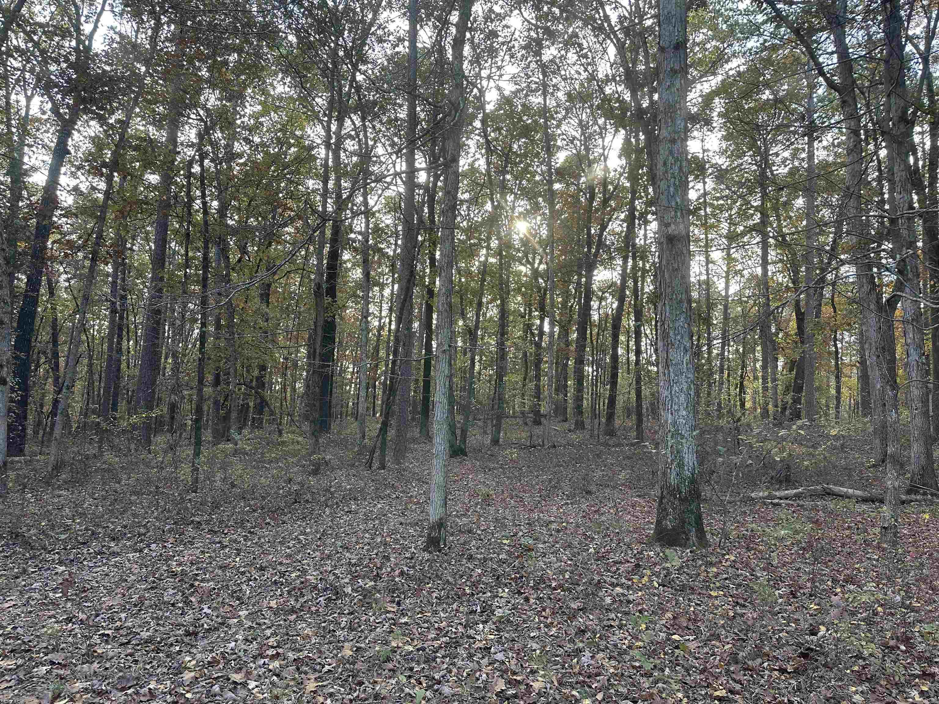 TBD Dirt Dobber Rd  Bauxite, AR