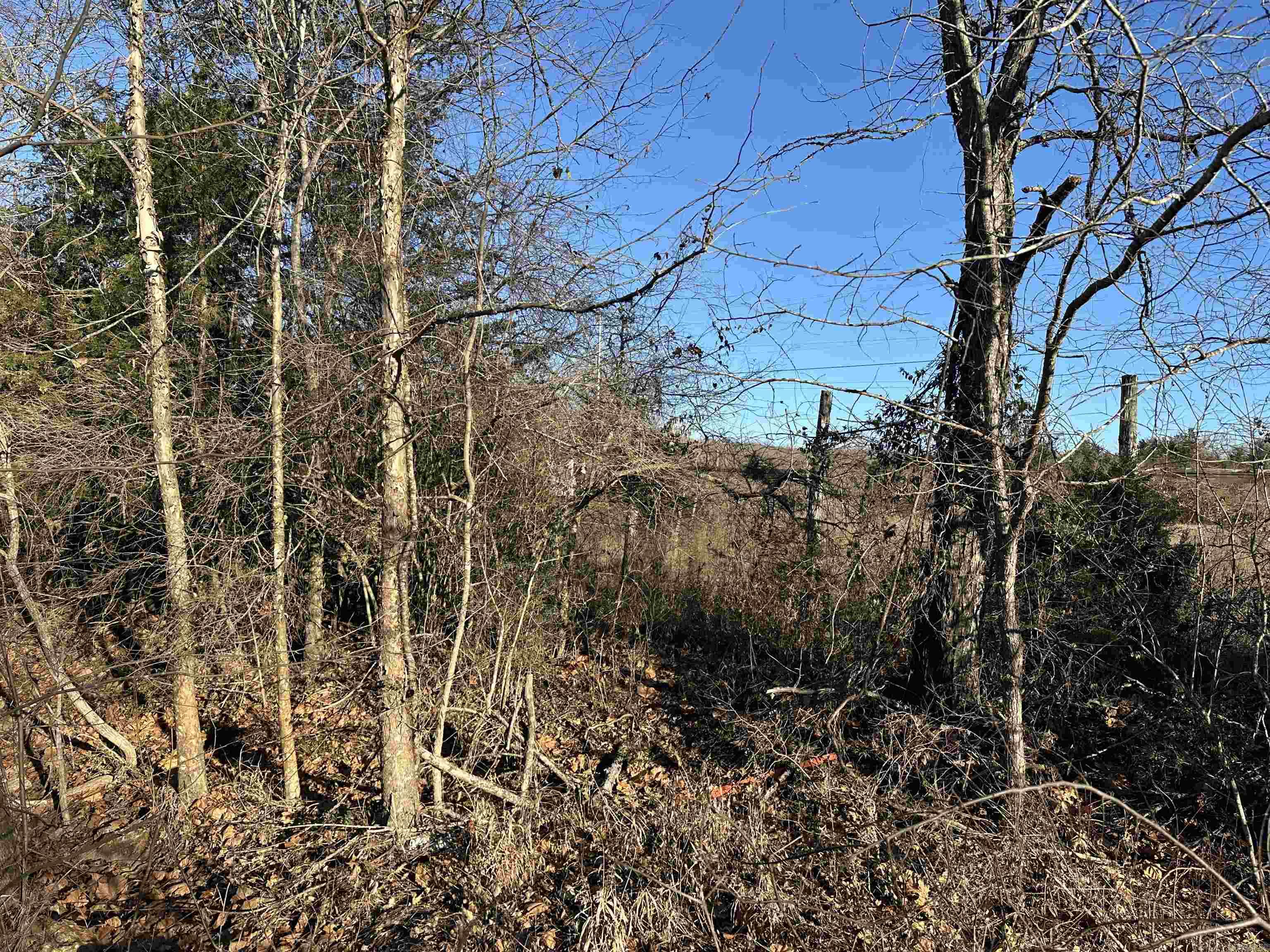 1739 CR 54  Mountain Home, AR