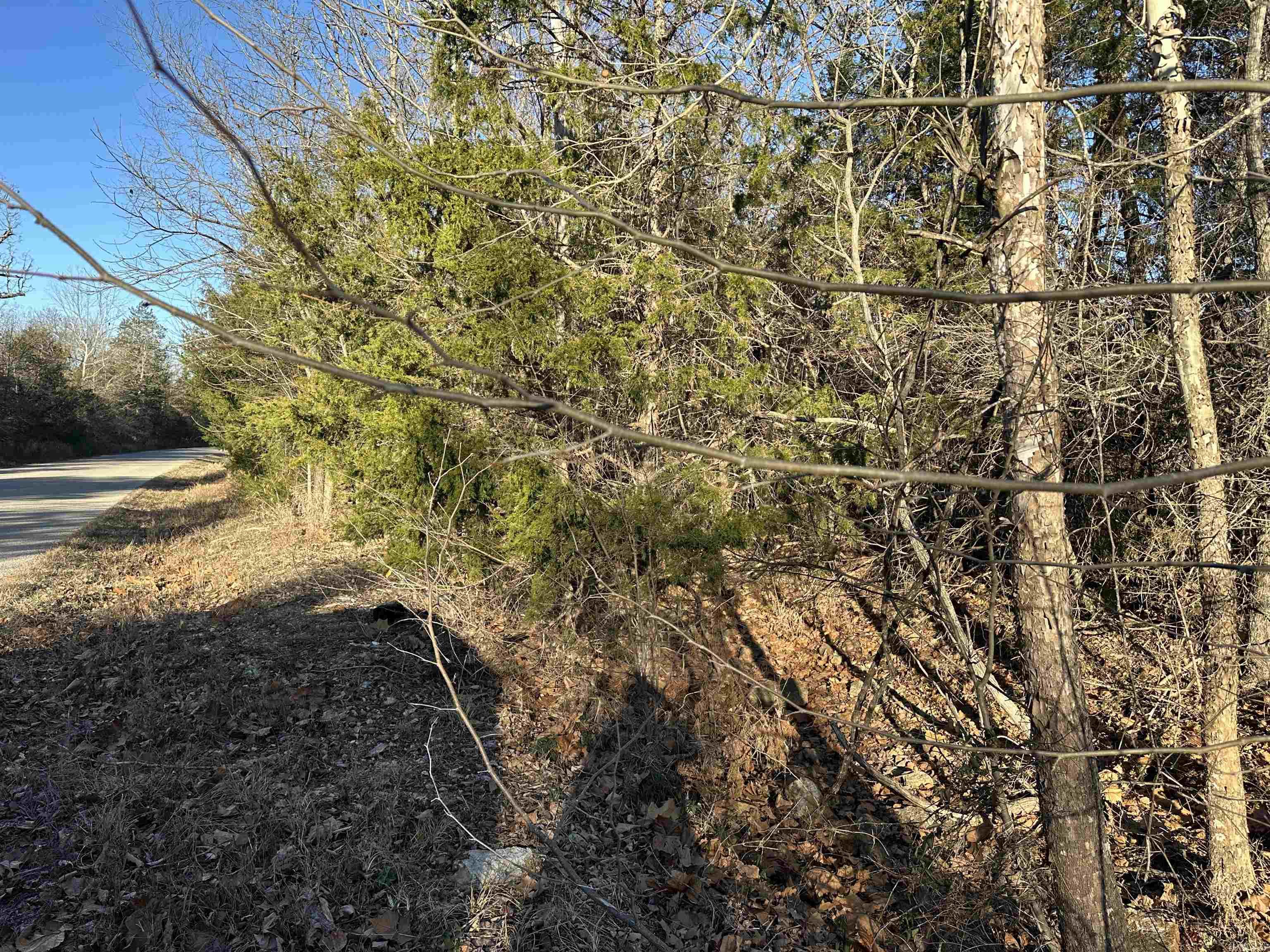 1739 CR 54  Mountain Home, AR