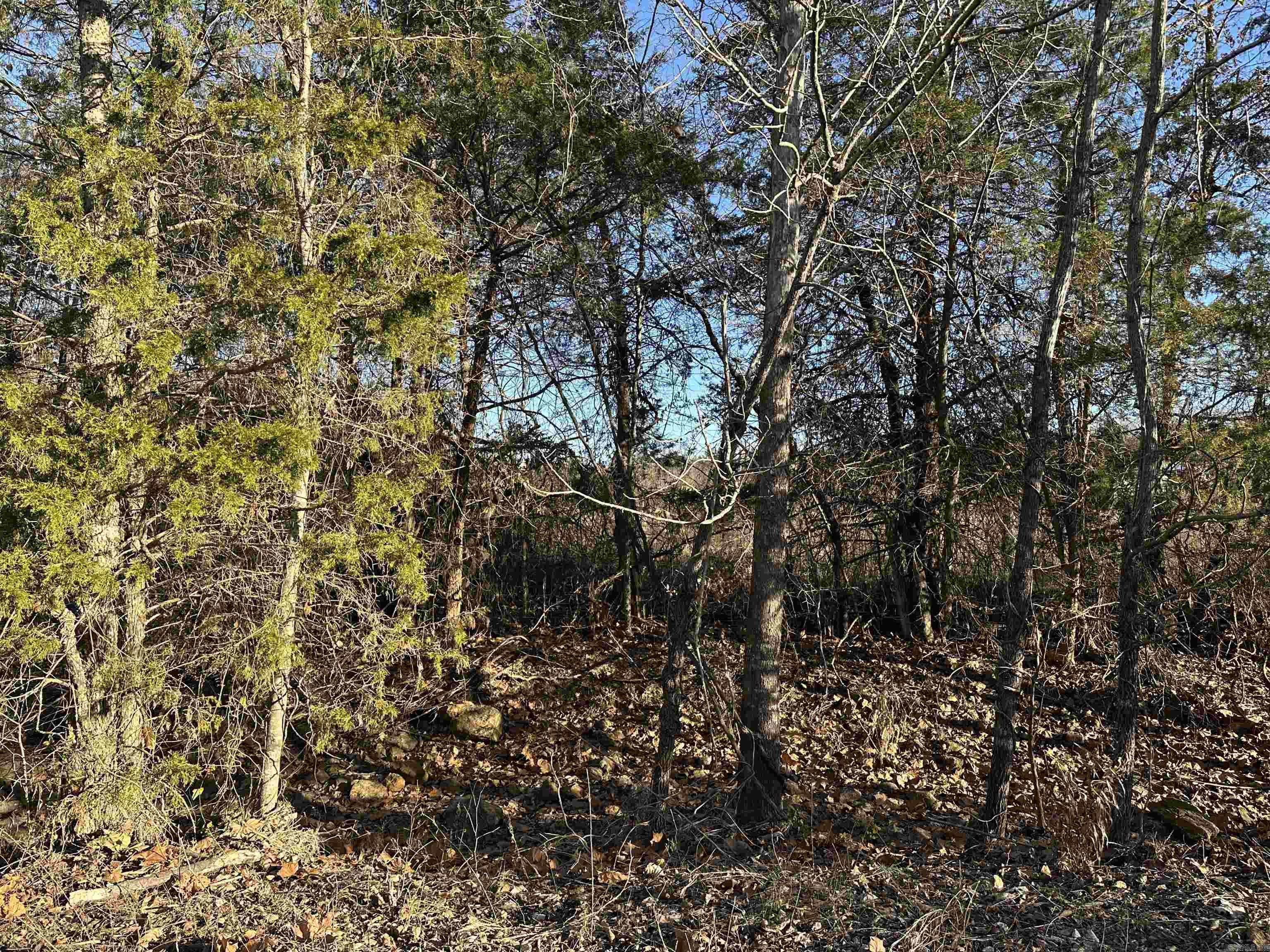 1739 CR 54  Mountain Home, AR