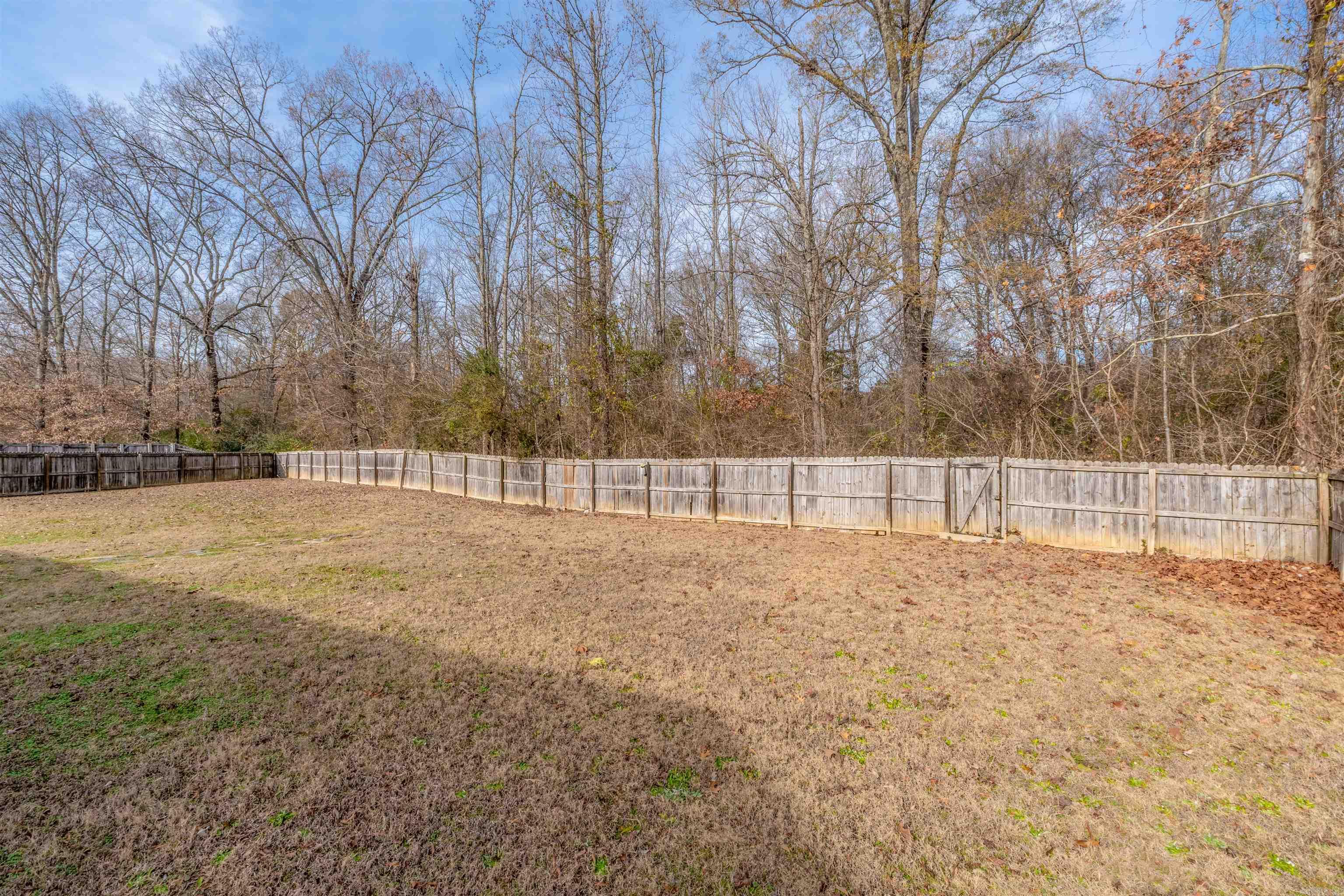 3655 Campfire Cove  Conway, AR