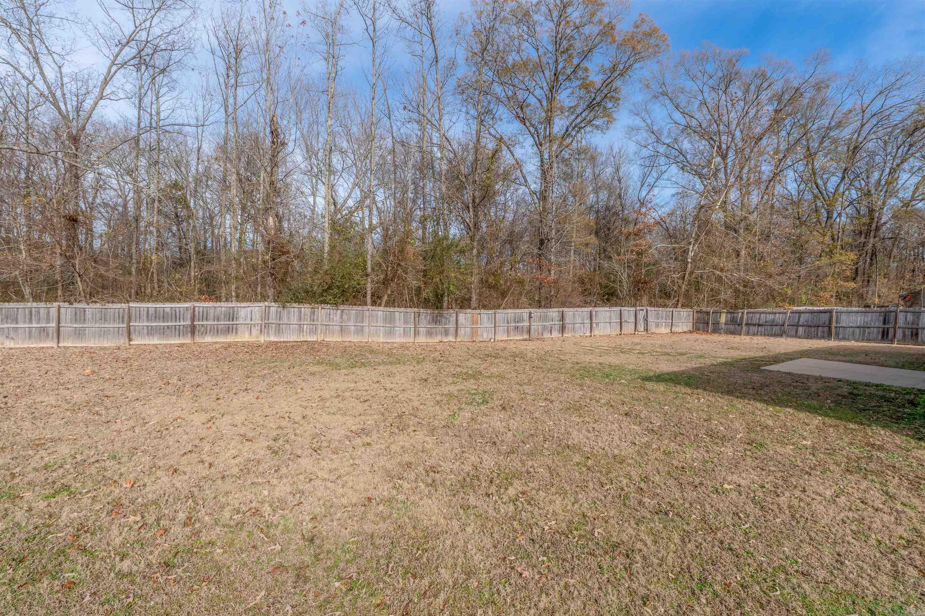 3655 Campfire Cove  Conway, AR