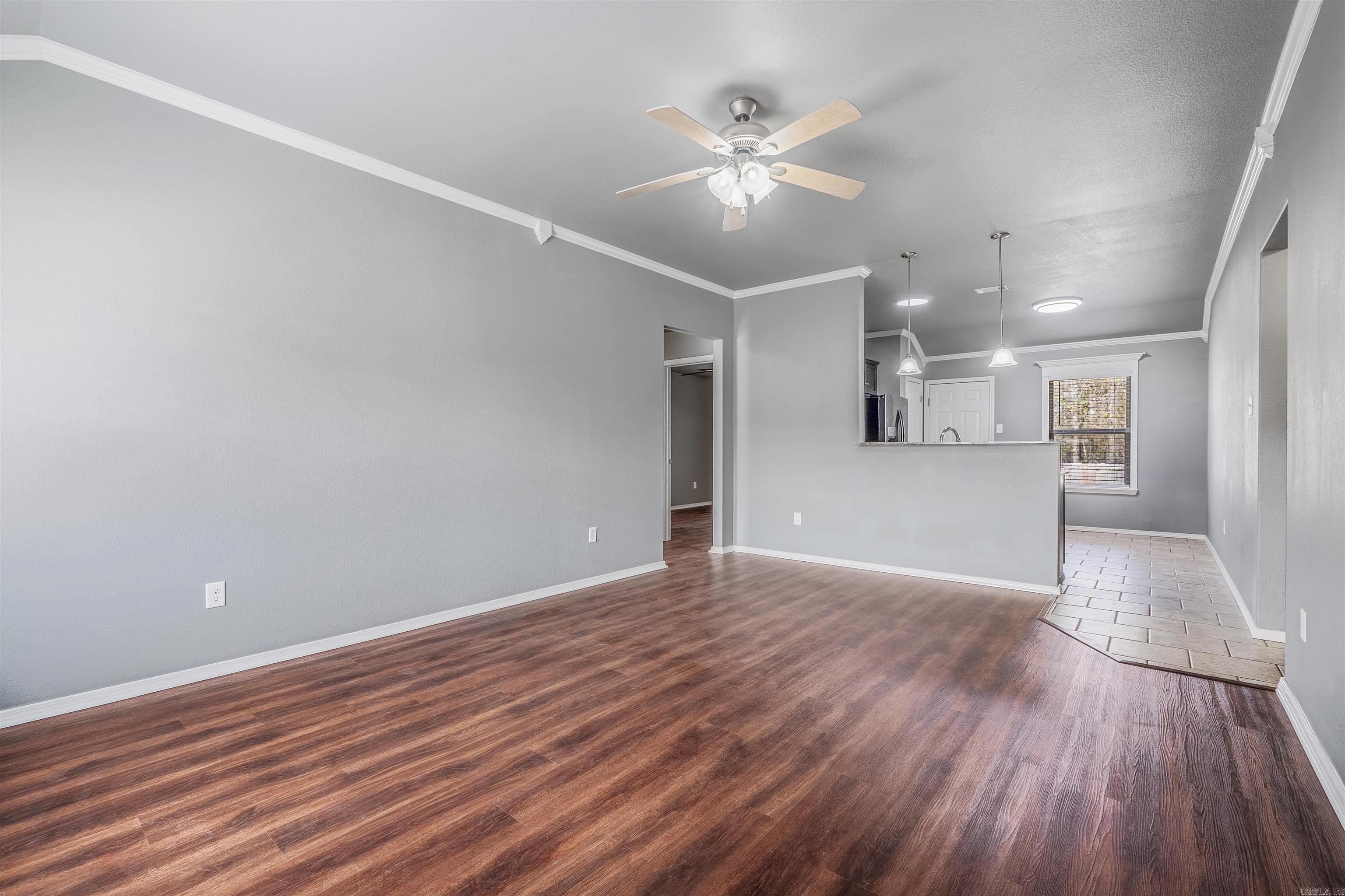 3655 Campfire Cove  Conway, AR