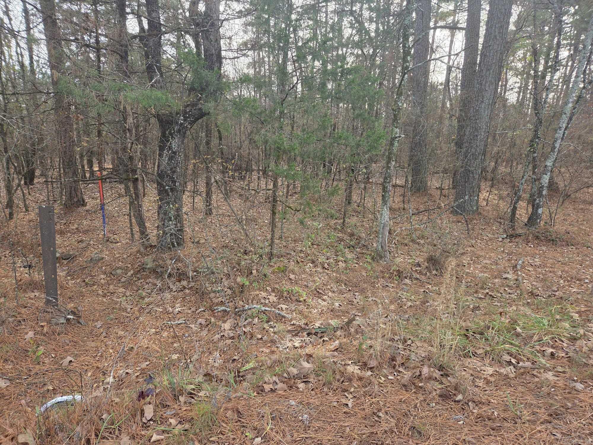 14 acres off Verkler  Searcy, AR