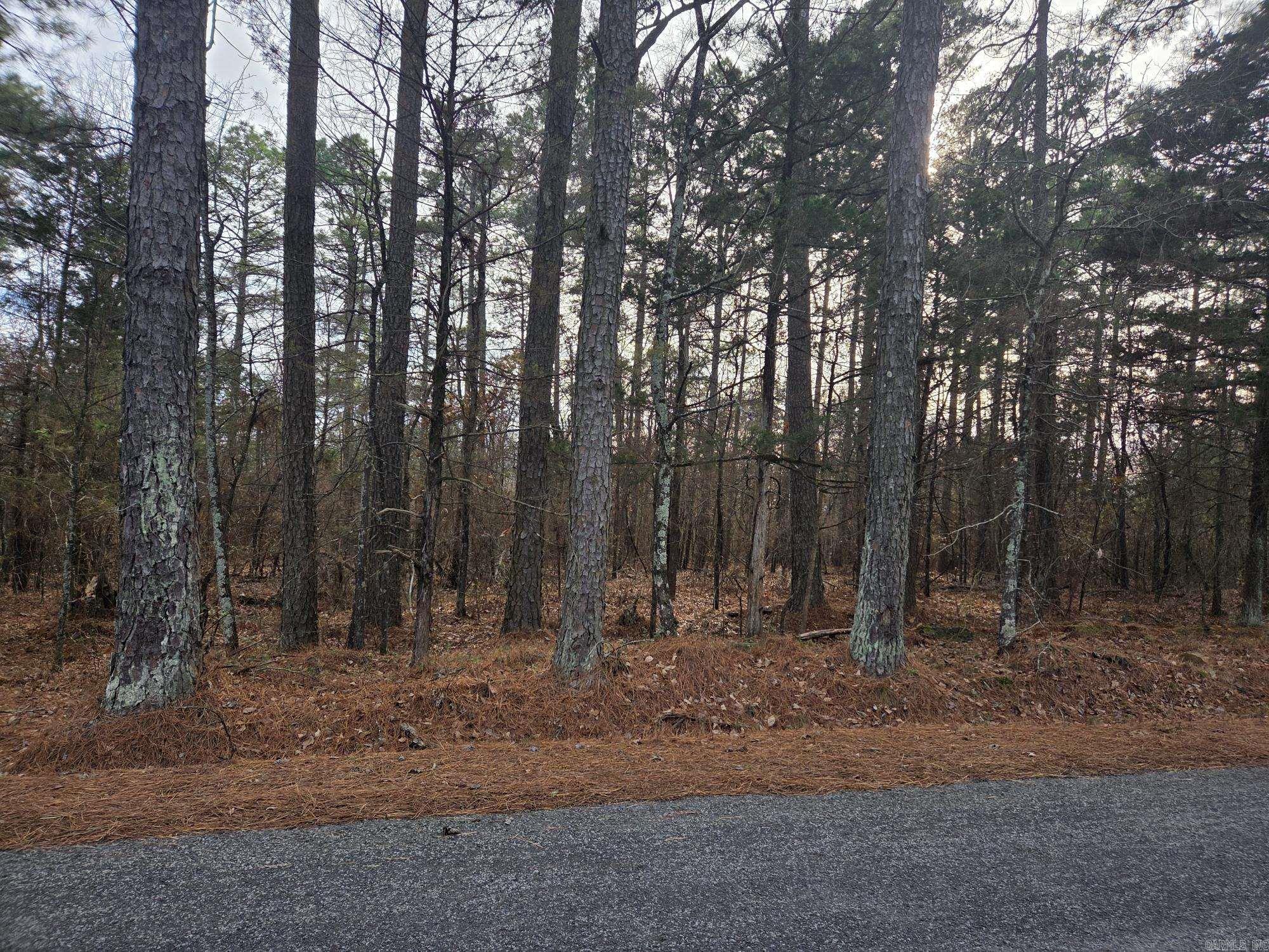 14 acres off Verkler  Searcy, AR