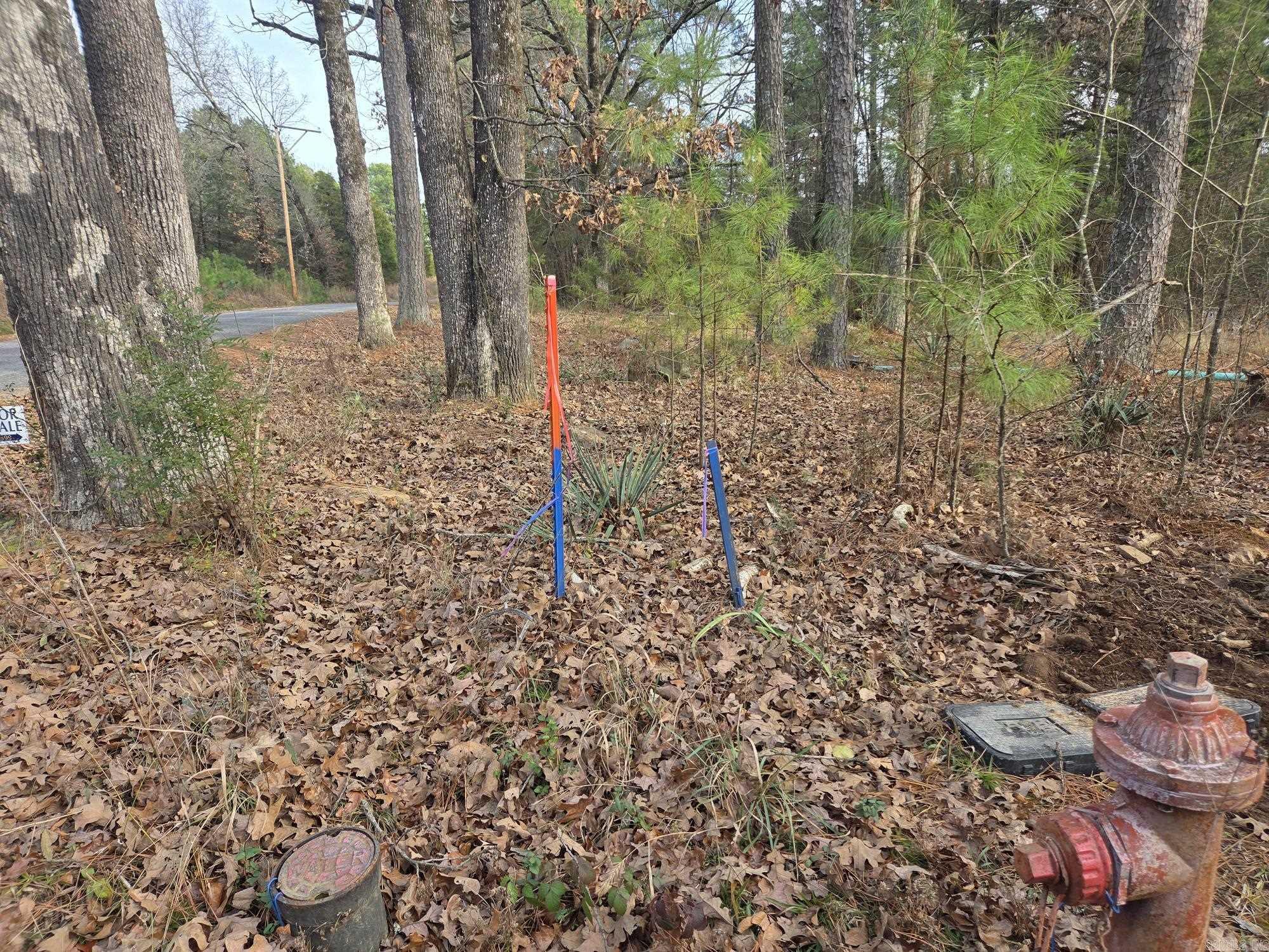 14 acres off Verkler  Searcy, AR