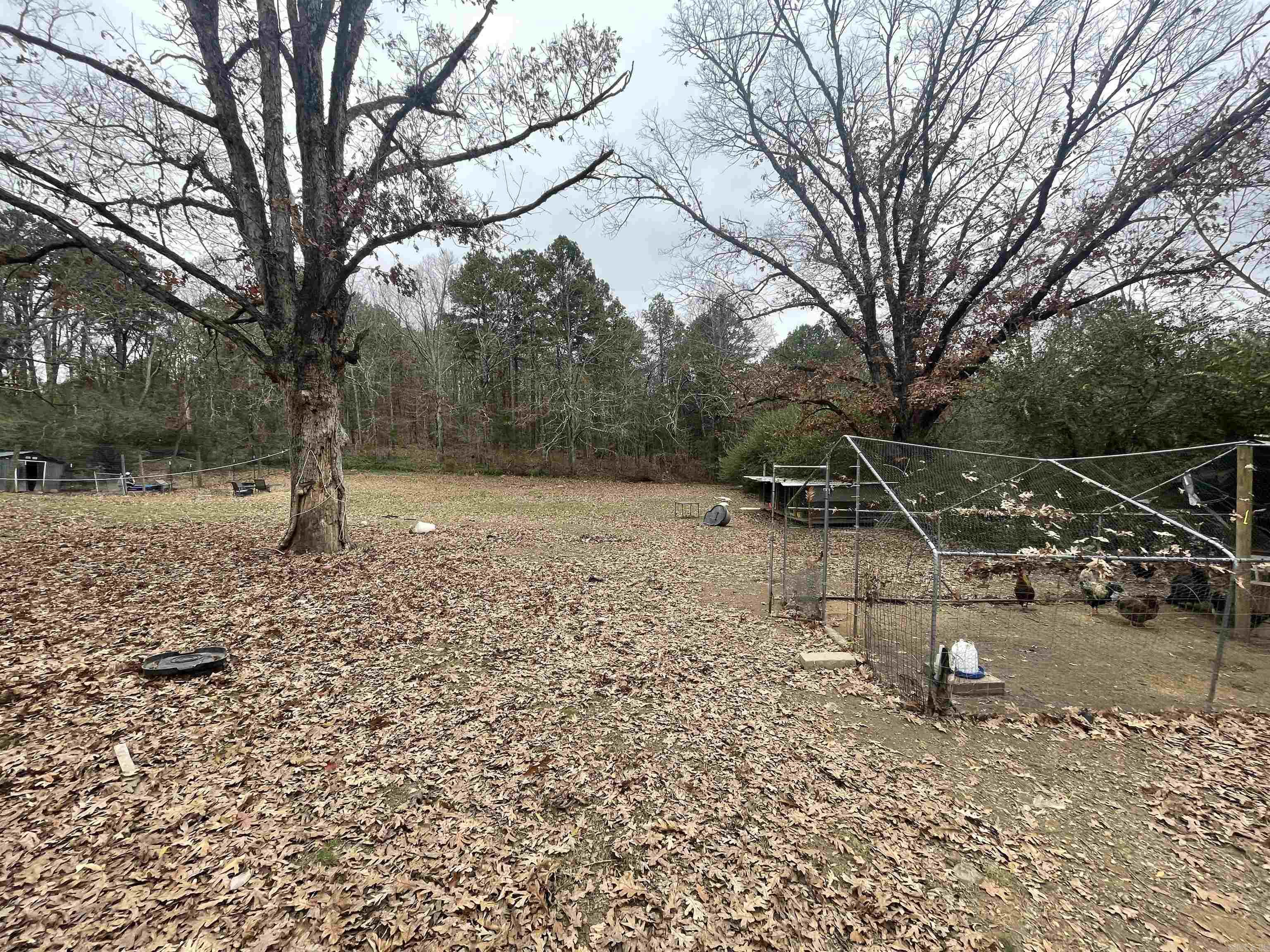 410 Lum Avenue  Mena, AR