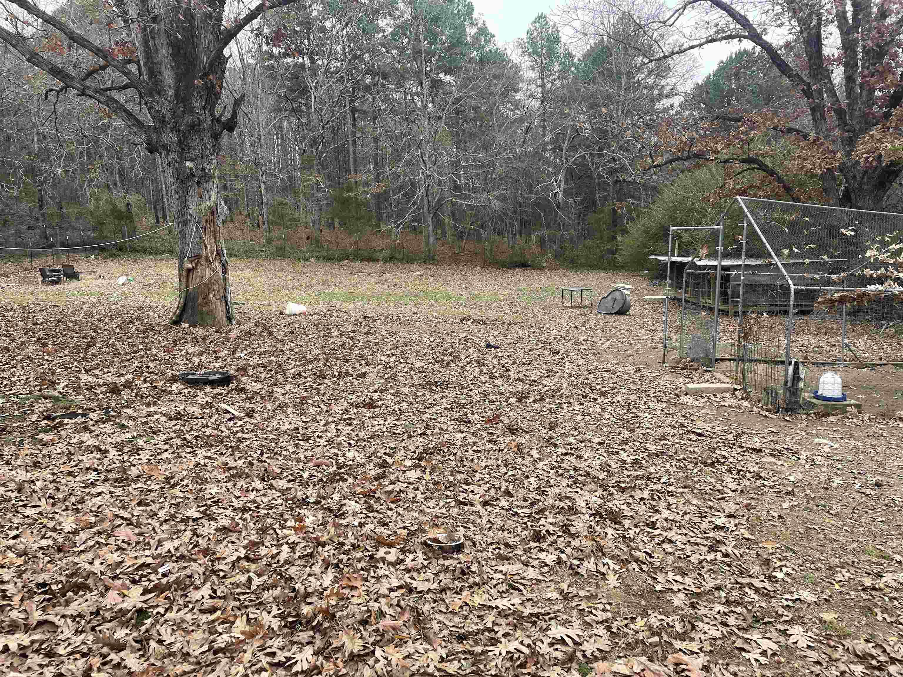 410 Lum Avenue  Mena, AR