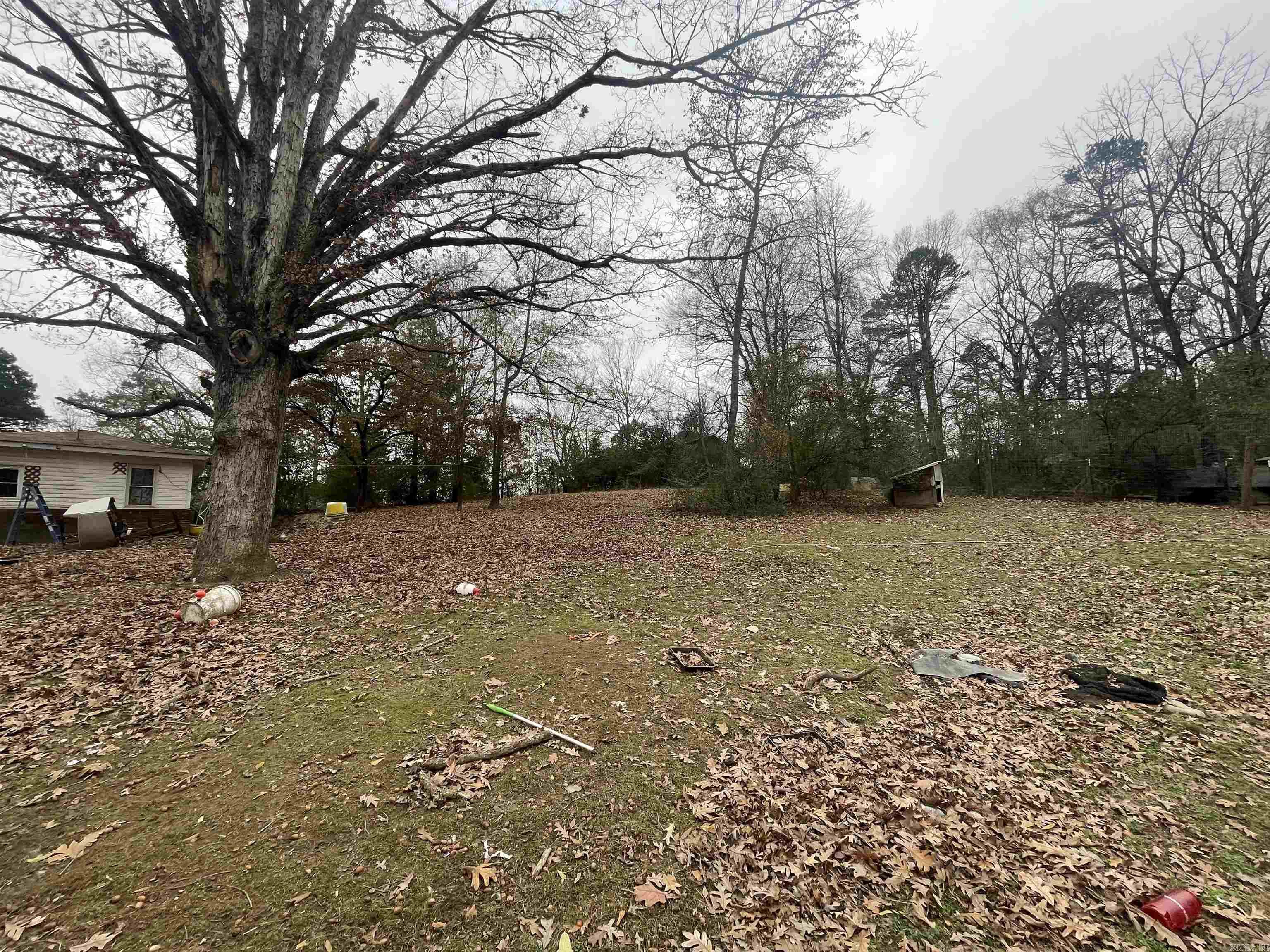 410 Lum Avenue  Mena, AR