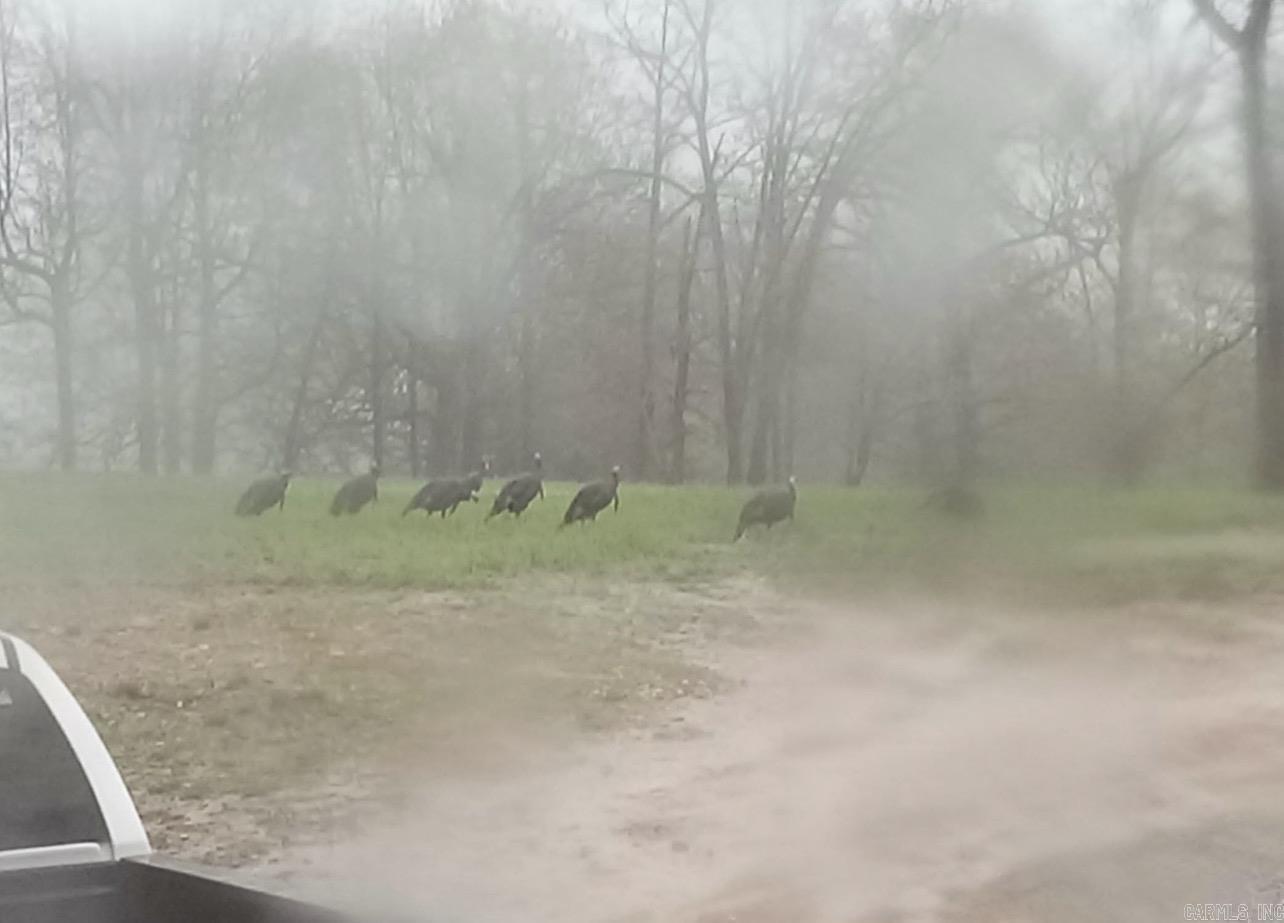 5681 MC 5014  Everton, AR