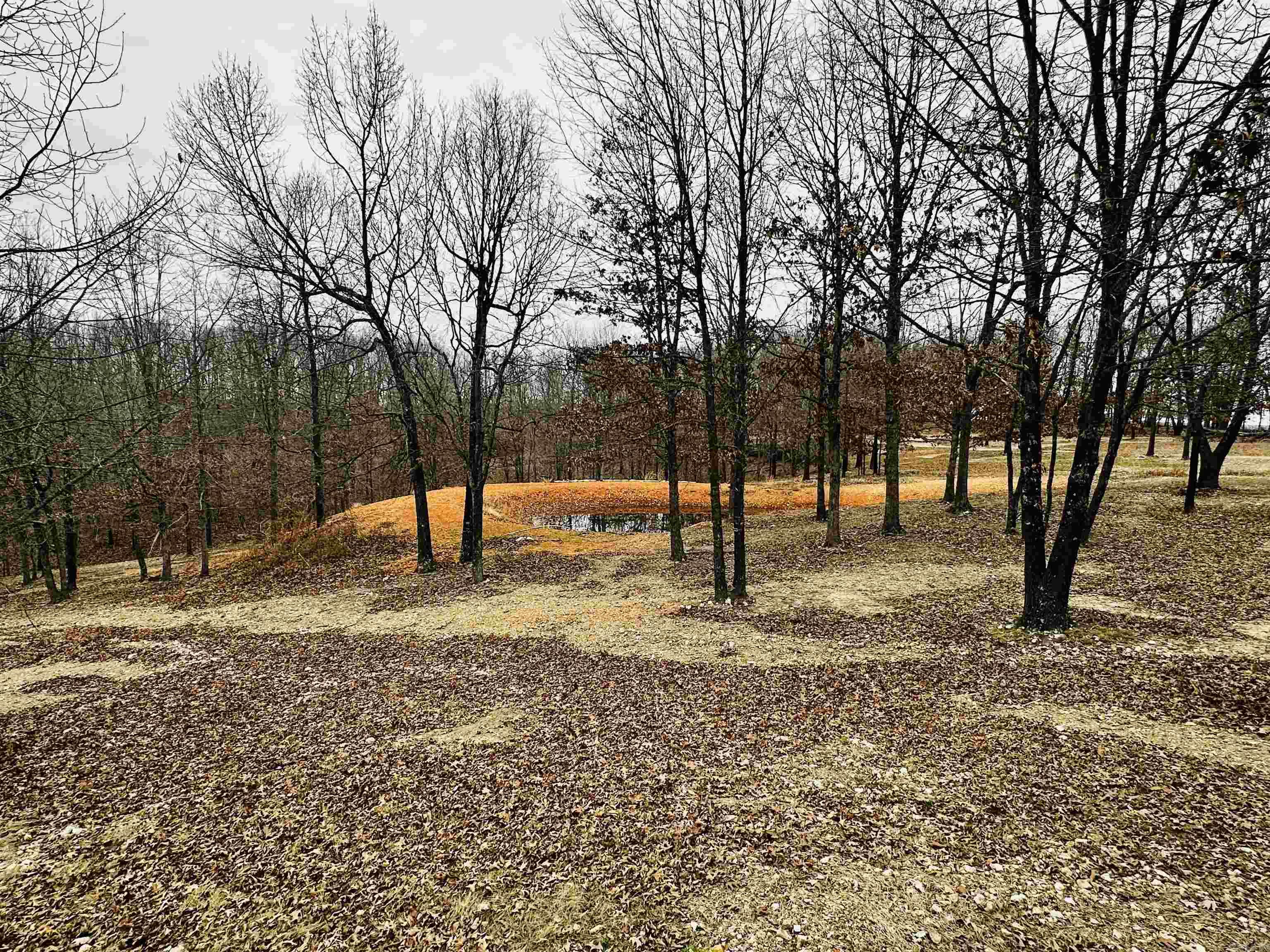 5681 MC 5014  Everton, AR