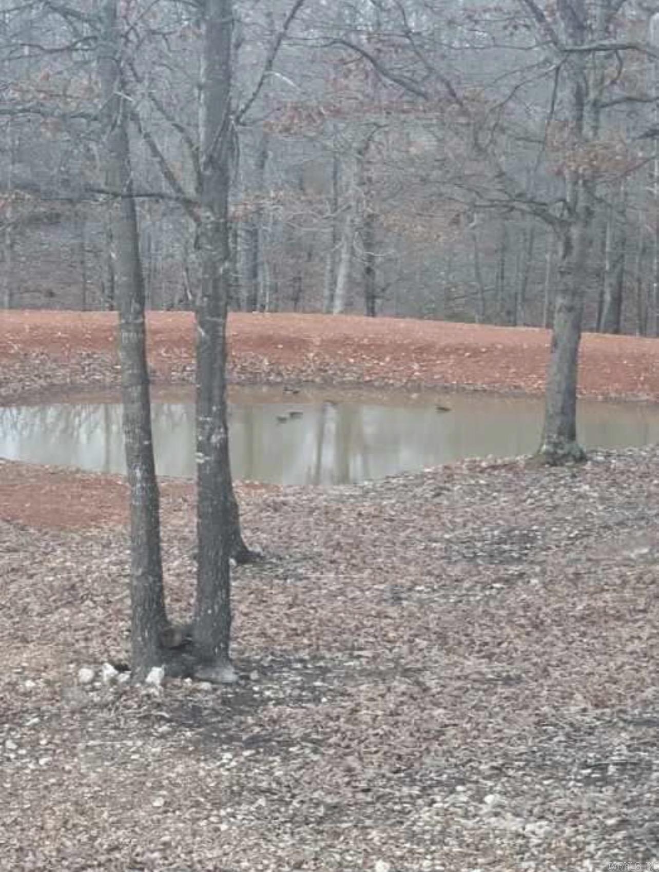 5681 MC 5014  Everton, AR