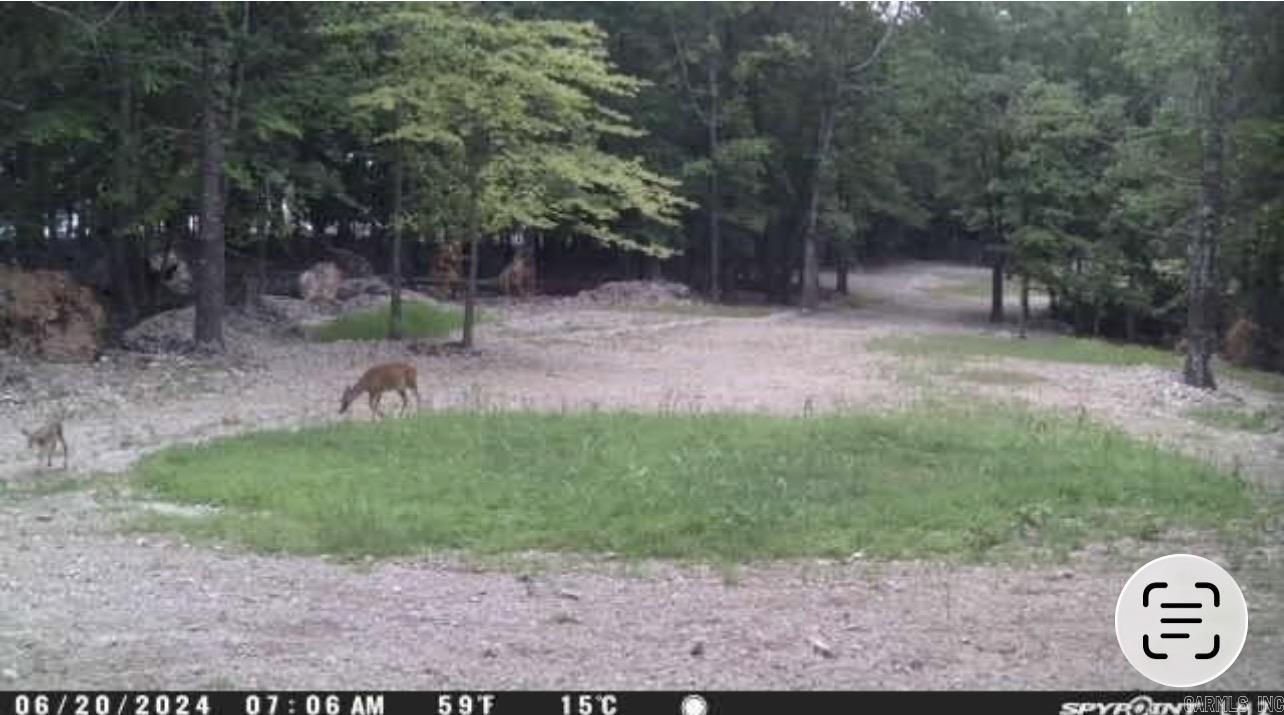 5681 MC 5014  Everton, AR