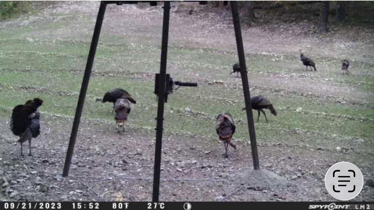 5681 MC 5014  Everton, AR