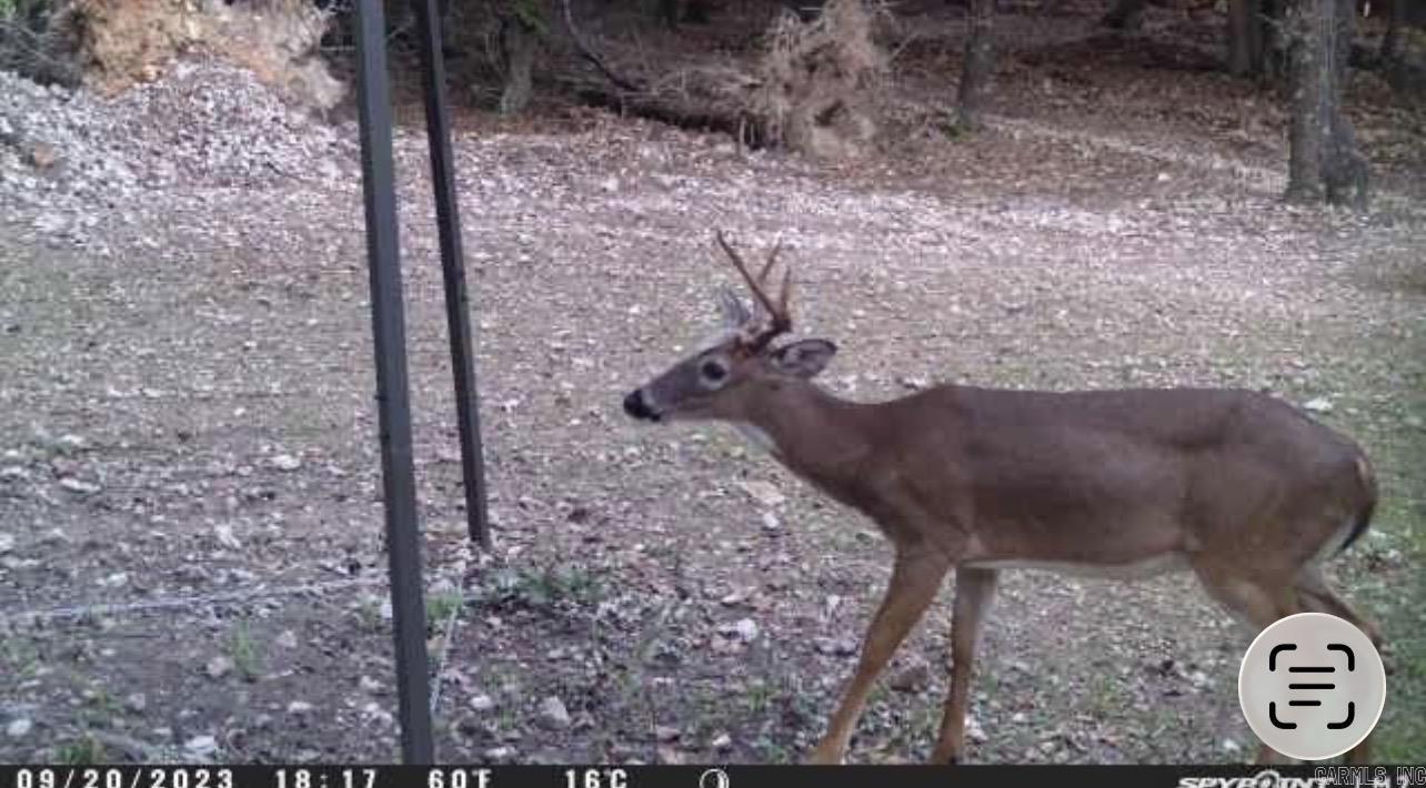 5681 MC 5014  Everton, AR