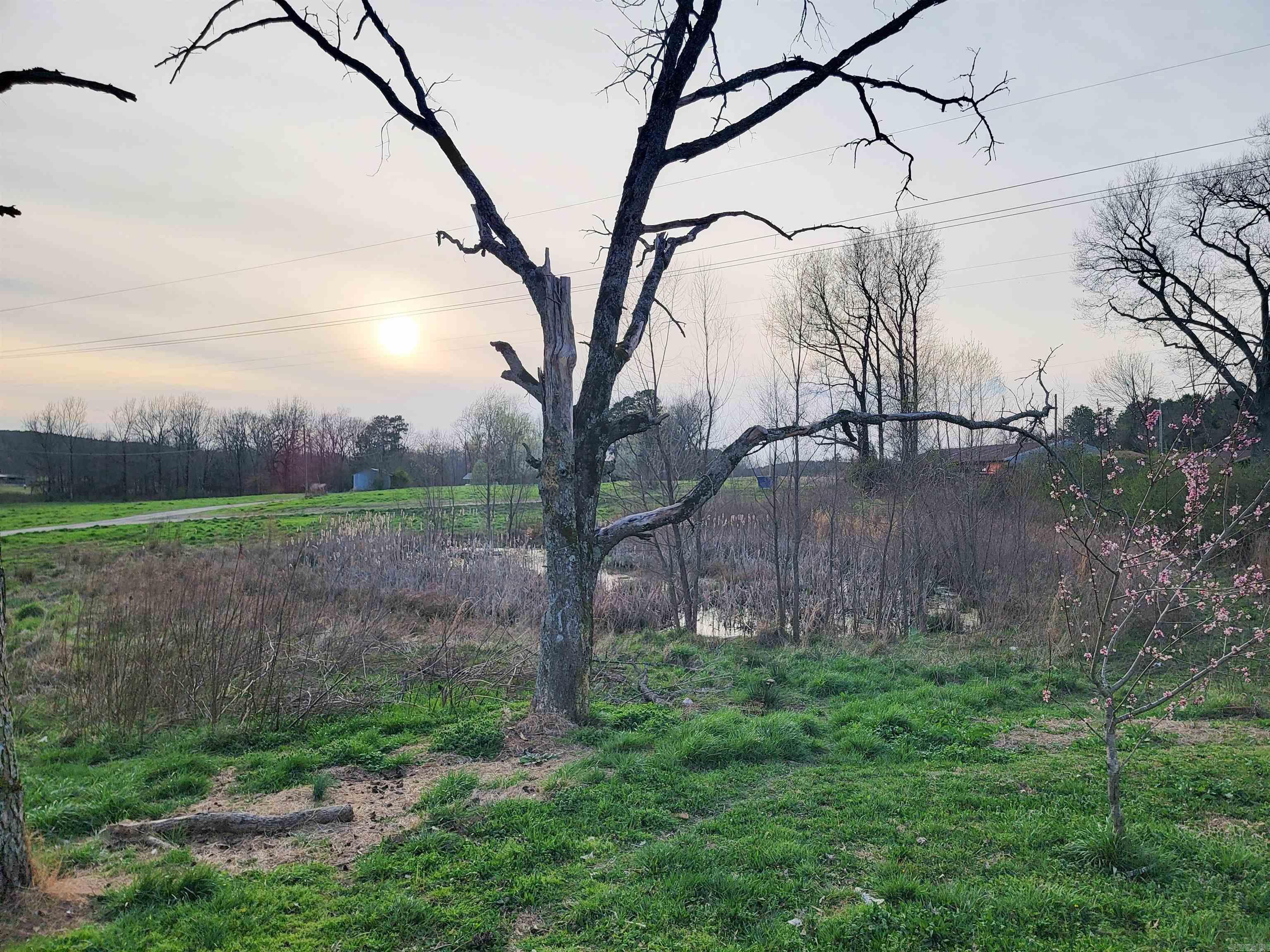 0 Confidential  Cove, AR