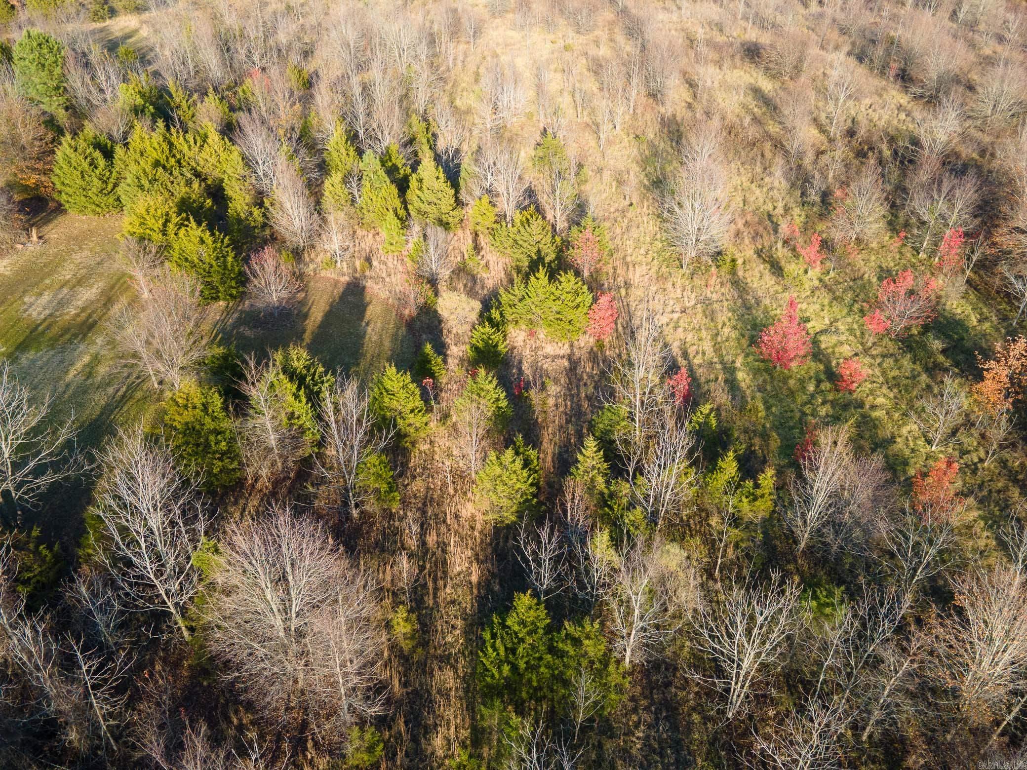 000 ARTIST  Conway, AR