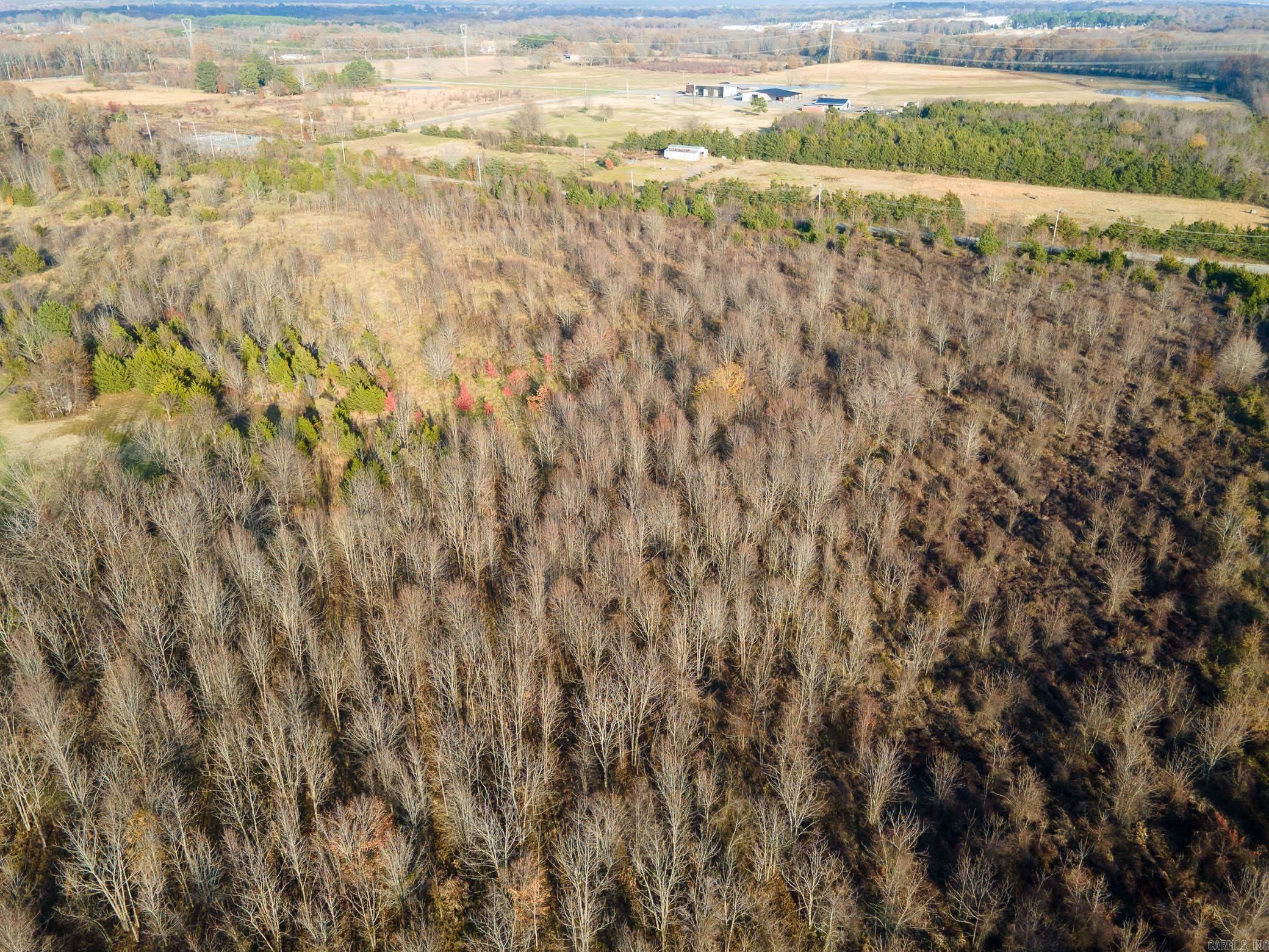 000 ARTIST  Conway, AR