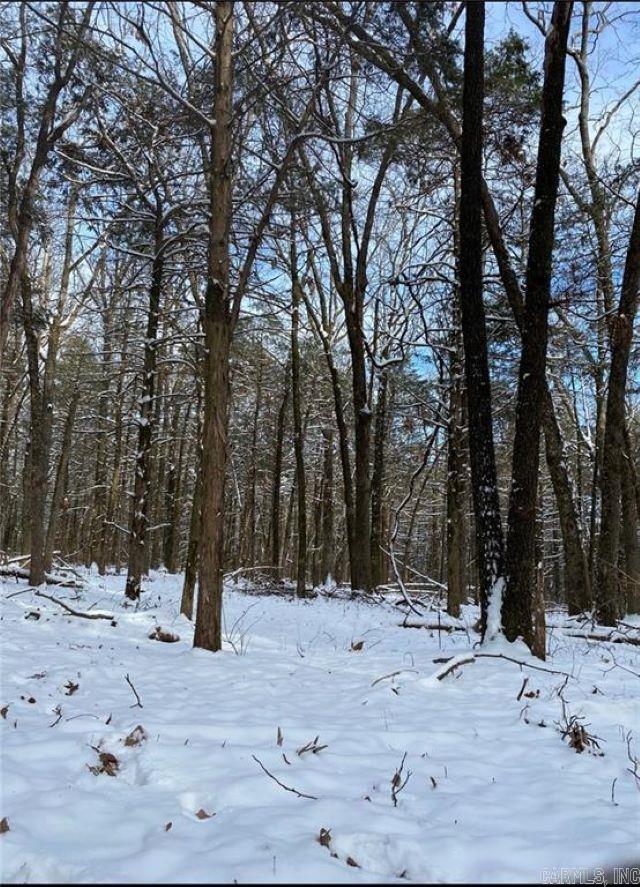 6327 Crow Mountain Rd  Russellville, AR