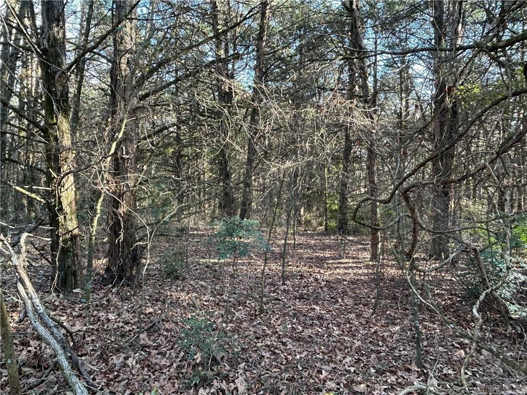 6327 Crow Mountain Rd  Russellville, AR