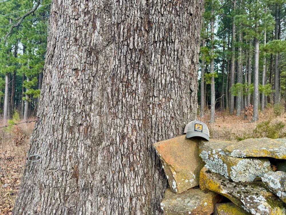 150 Jack Frost  Marshall, AR