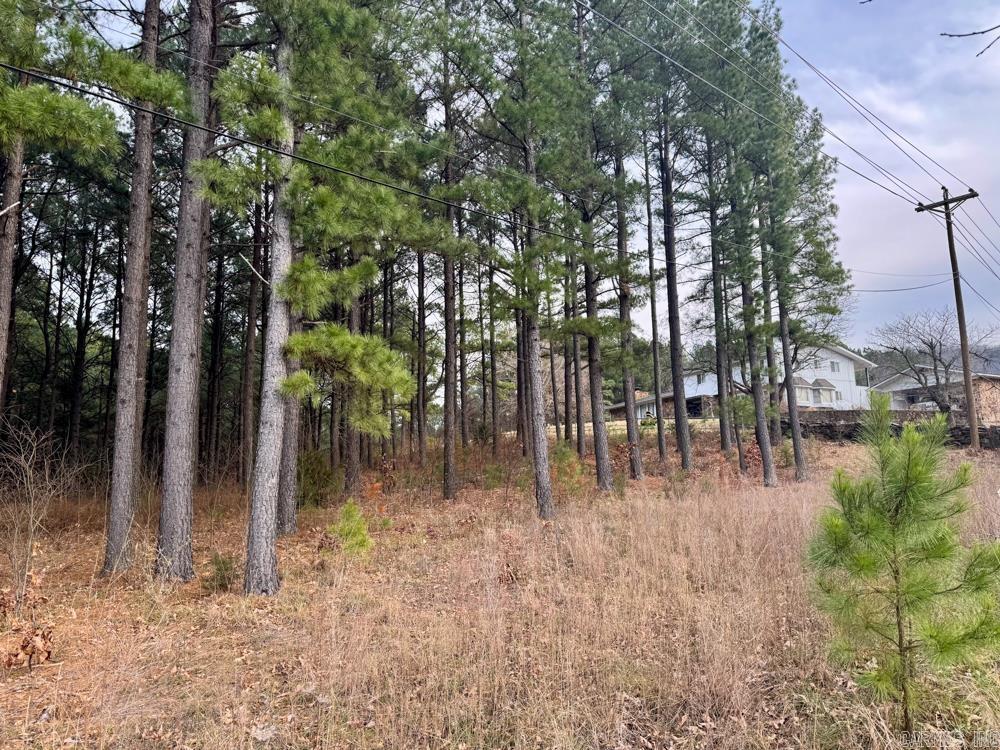 150 Jack Frost  Marshall, AR