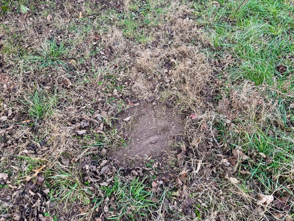 150 Jack Frost  Marshall, AR