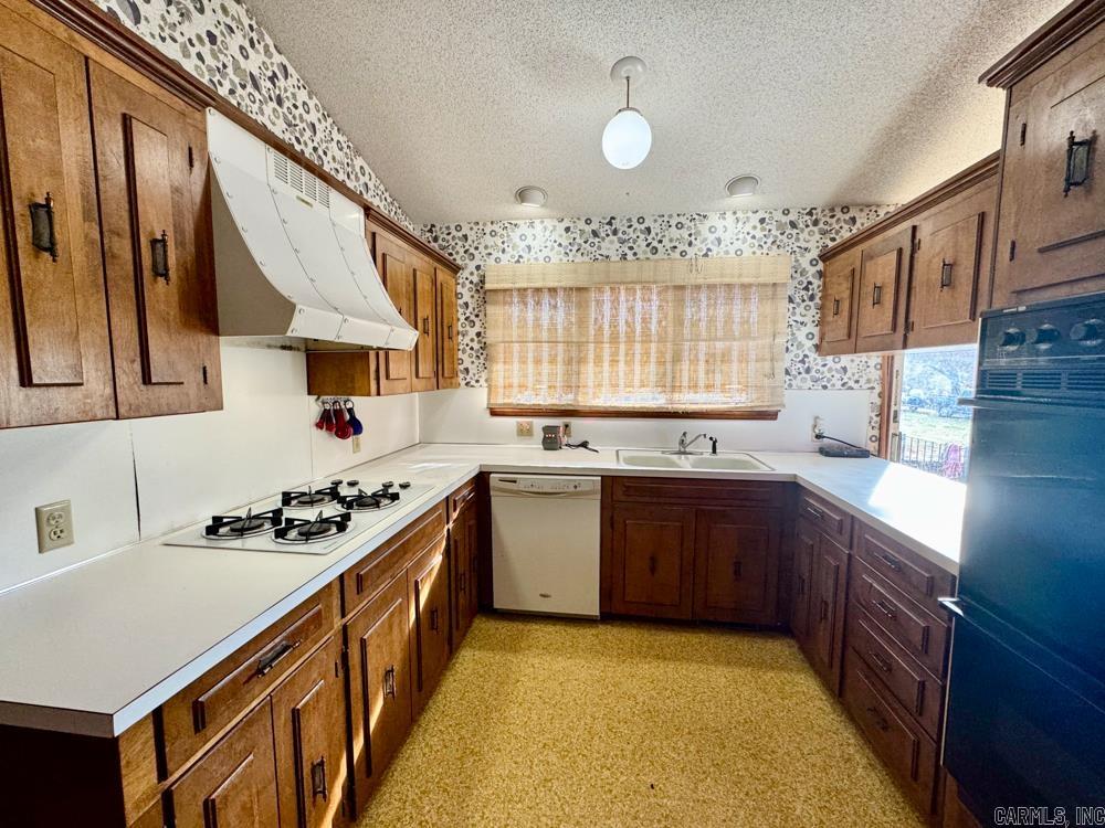 150 Jack Frost  Marshall, AR