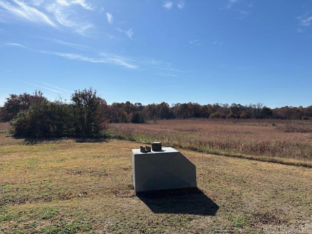 555 Pleasant Run  Mammoth Spring, AR