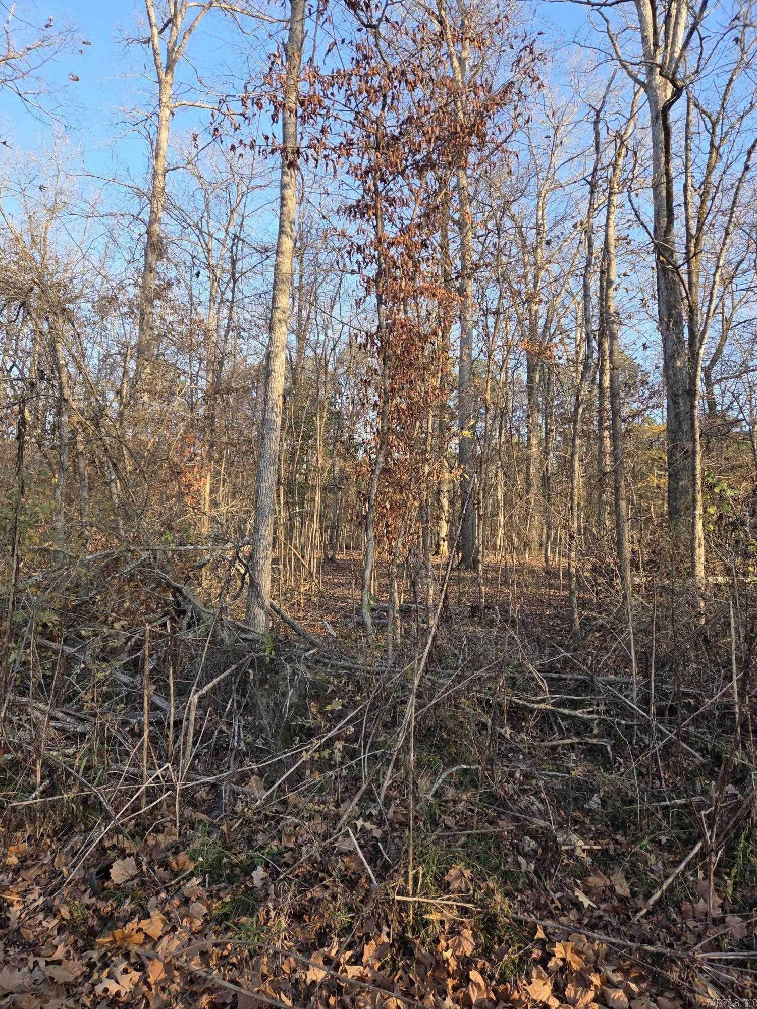 2764 Lost Lake Hot Springs, AR 71913