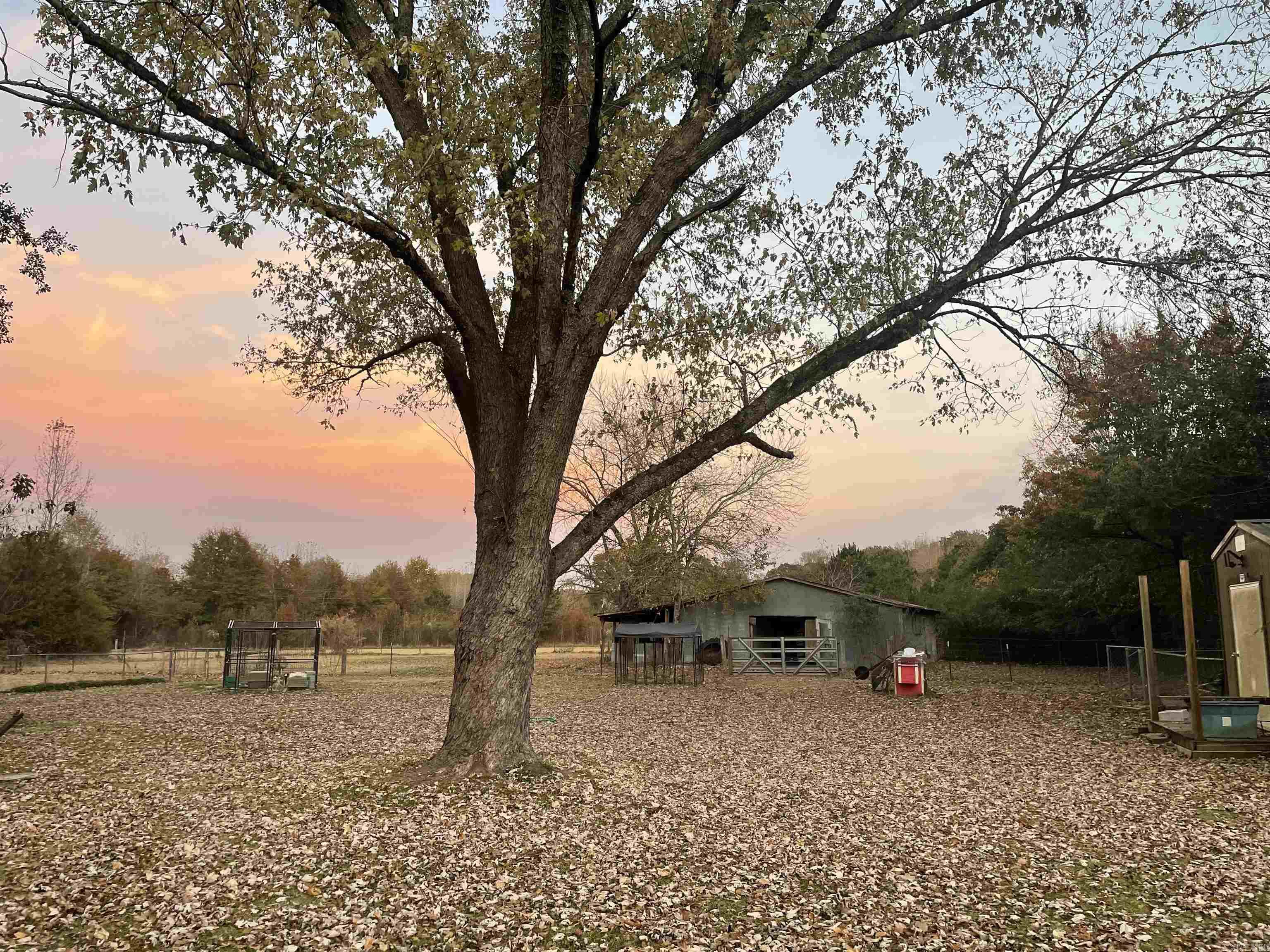 251 Markham St.  Ward, AR